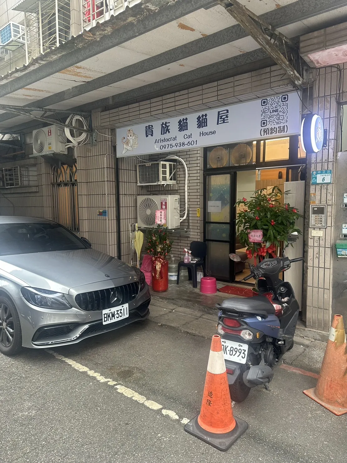 貴族貓貓屋