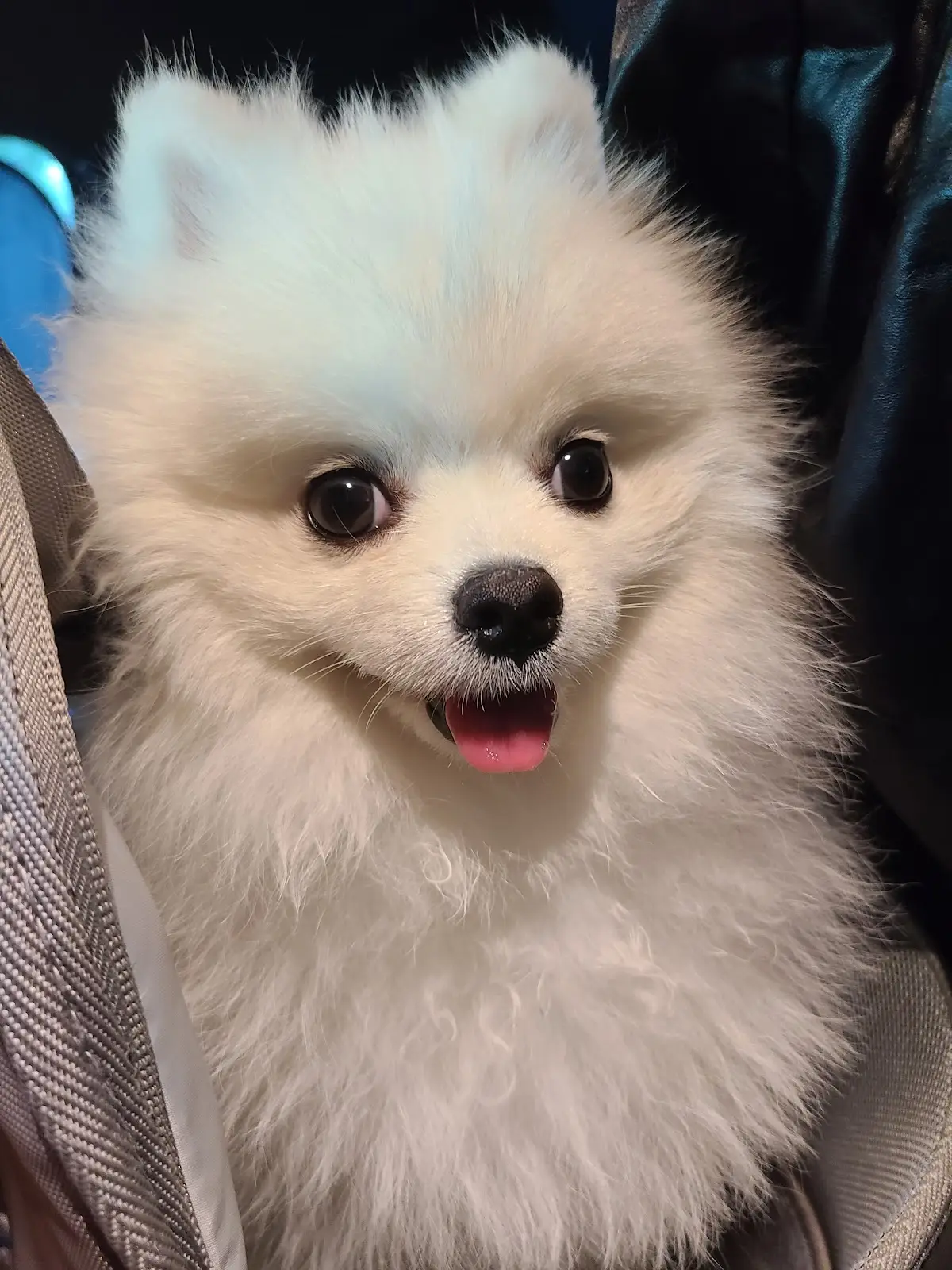 有怪獸企業有限公司