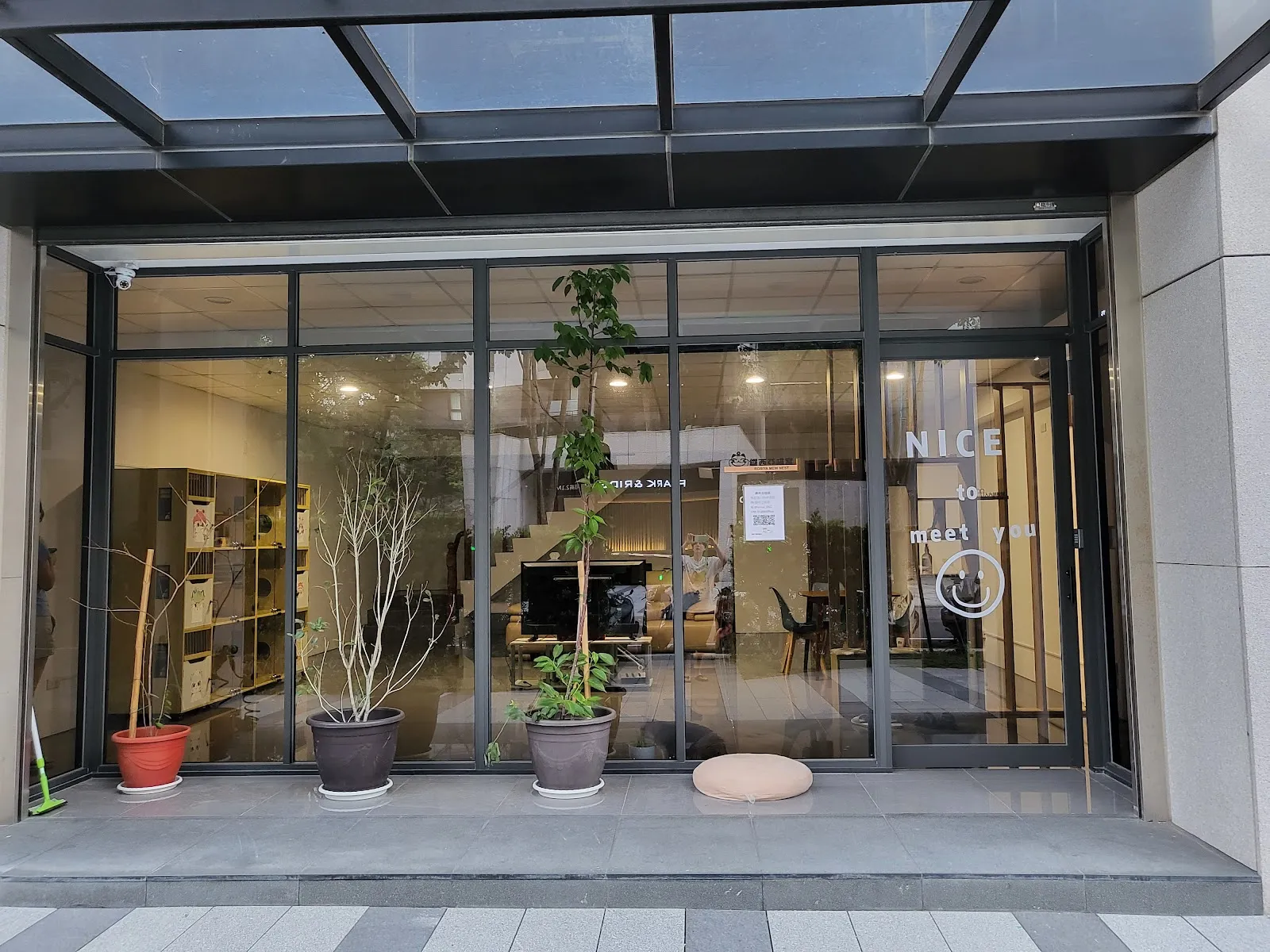 鑼西亞喵窩英短專賣店
