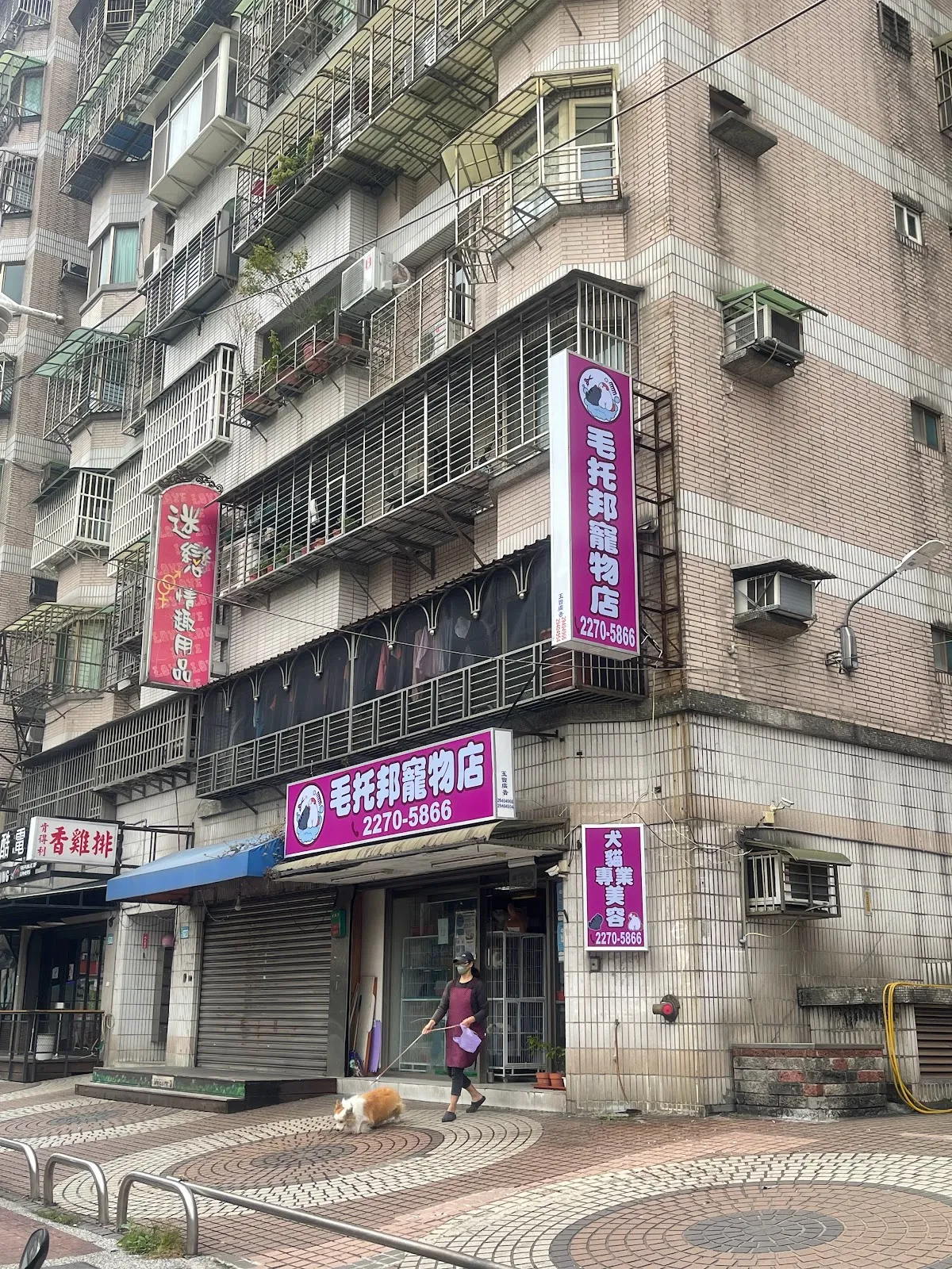 毛托邦寵物店