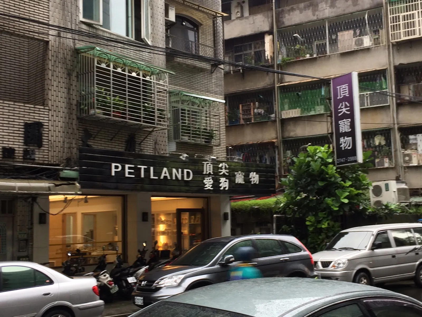 頂尖動物店