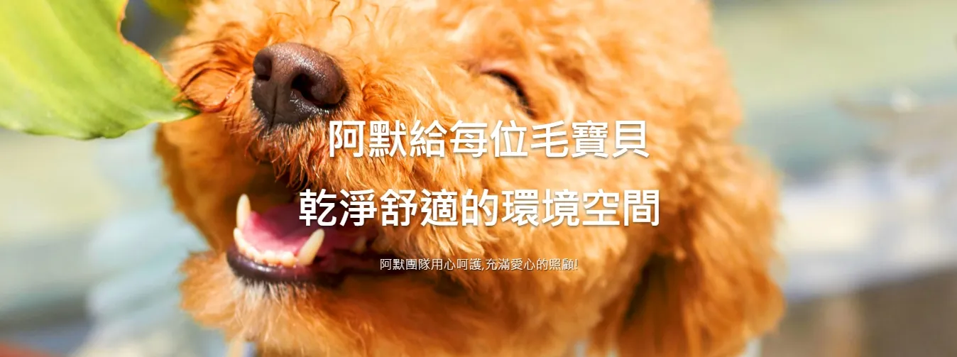 阿默寵物美學