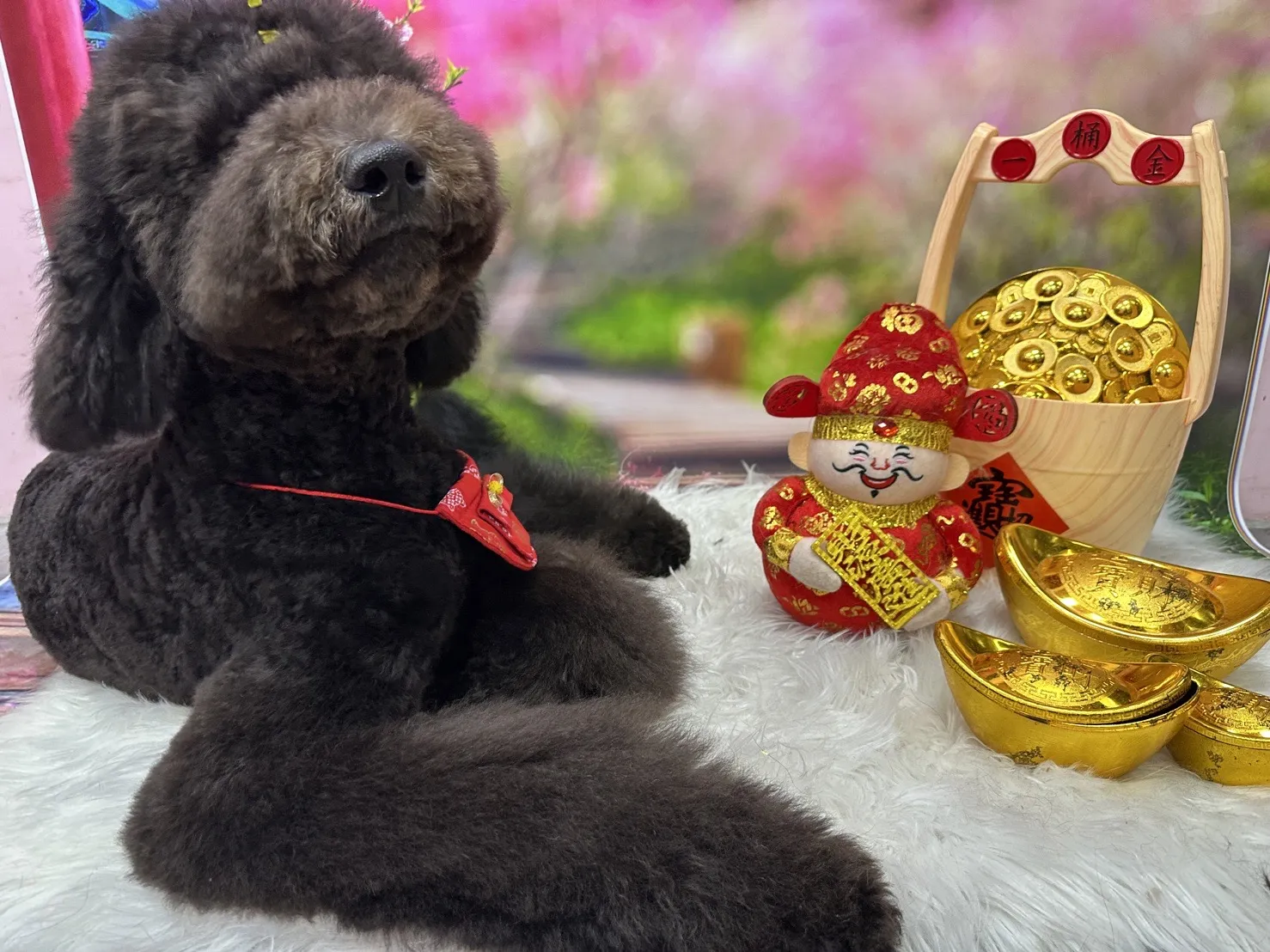 我的臘臘寶貝坊