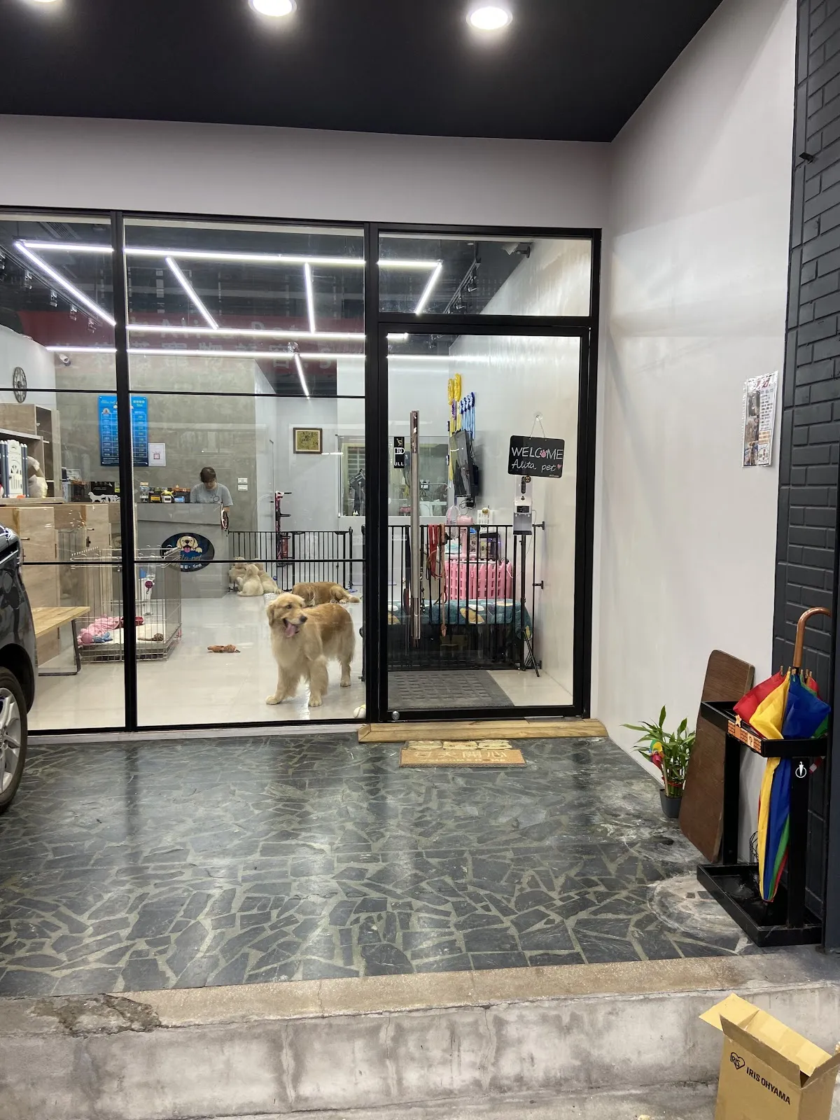 愛莉塔寵物館