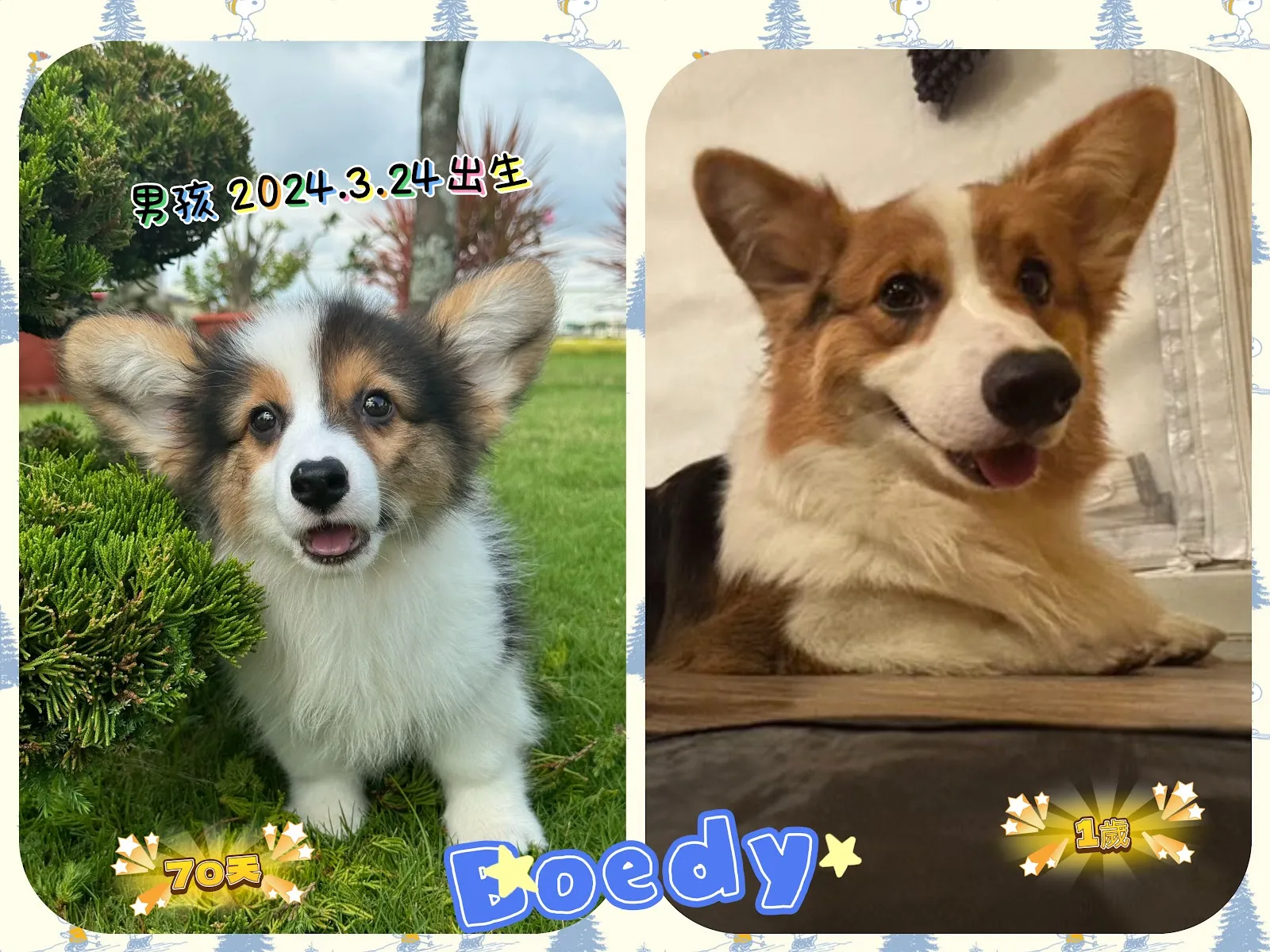 焱基犬舍