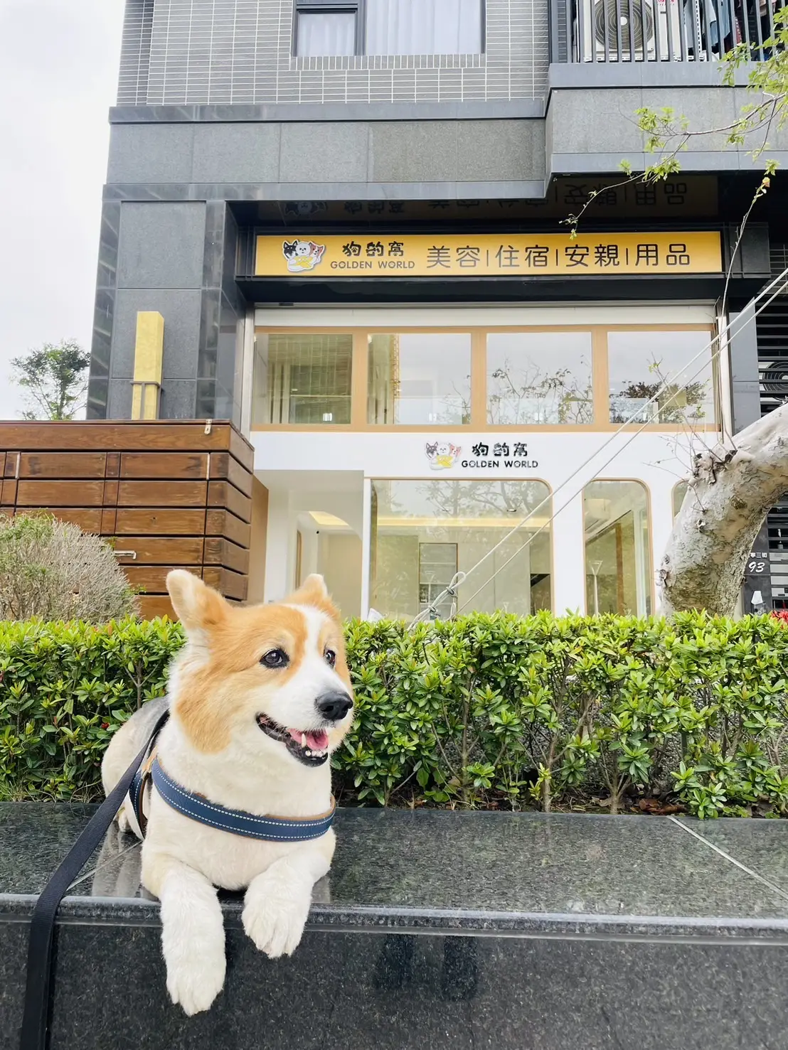 狗的窩企業社