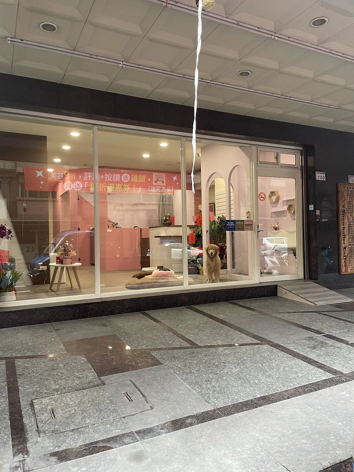 摸洗寵物生活旅店