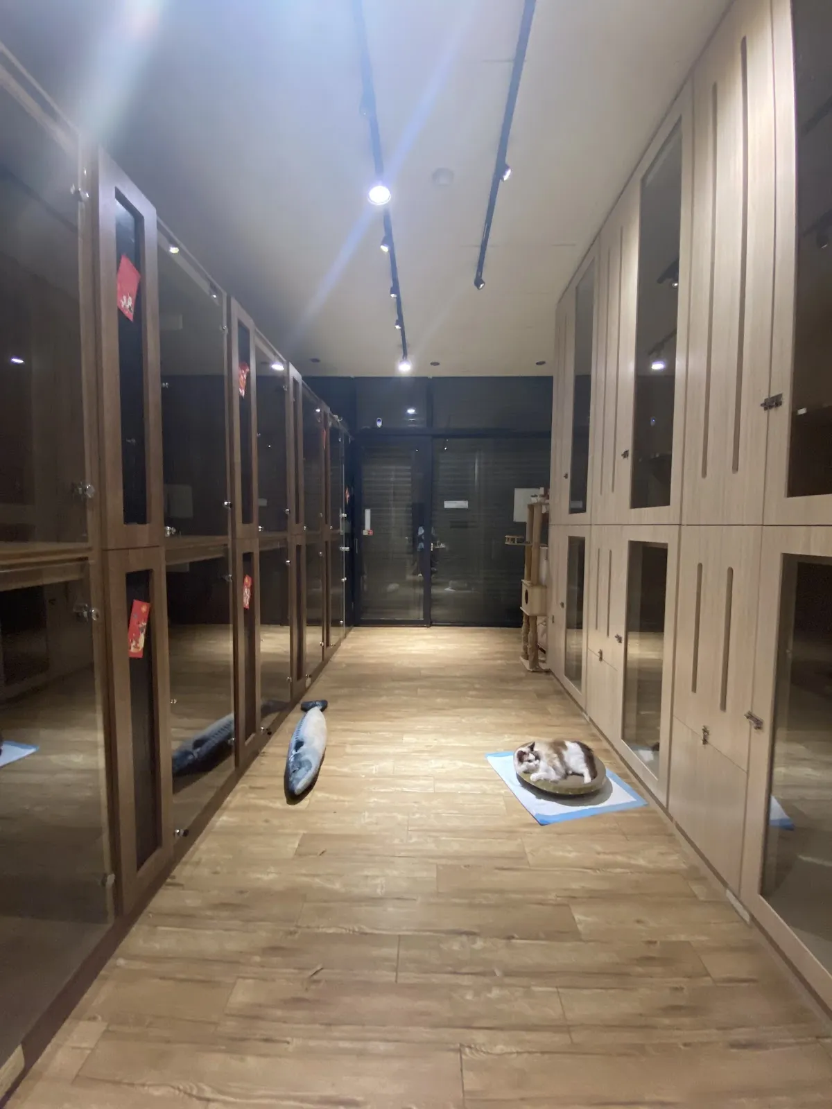 夜貓生活工作室