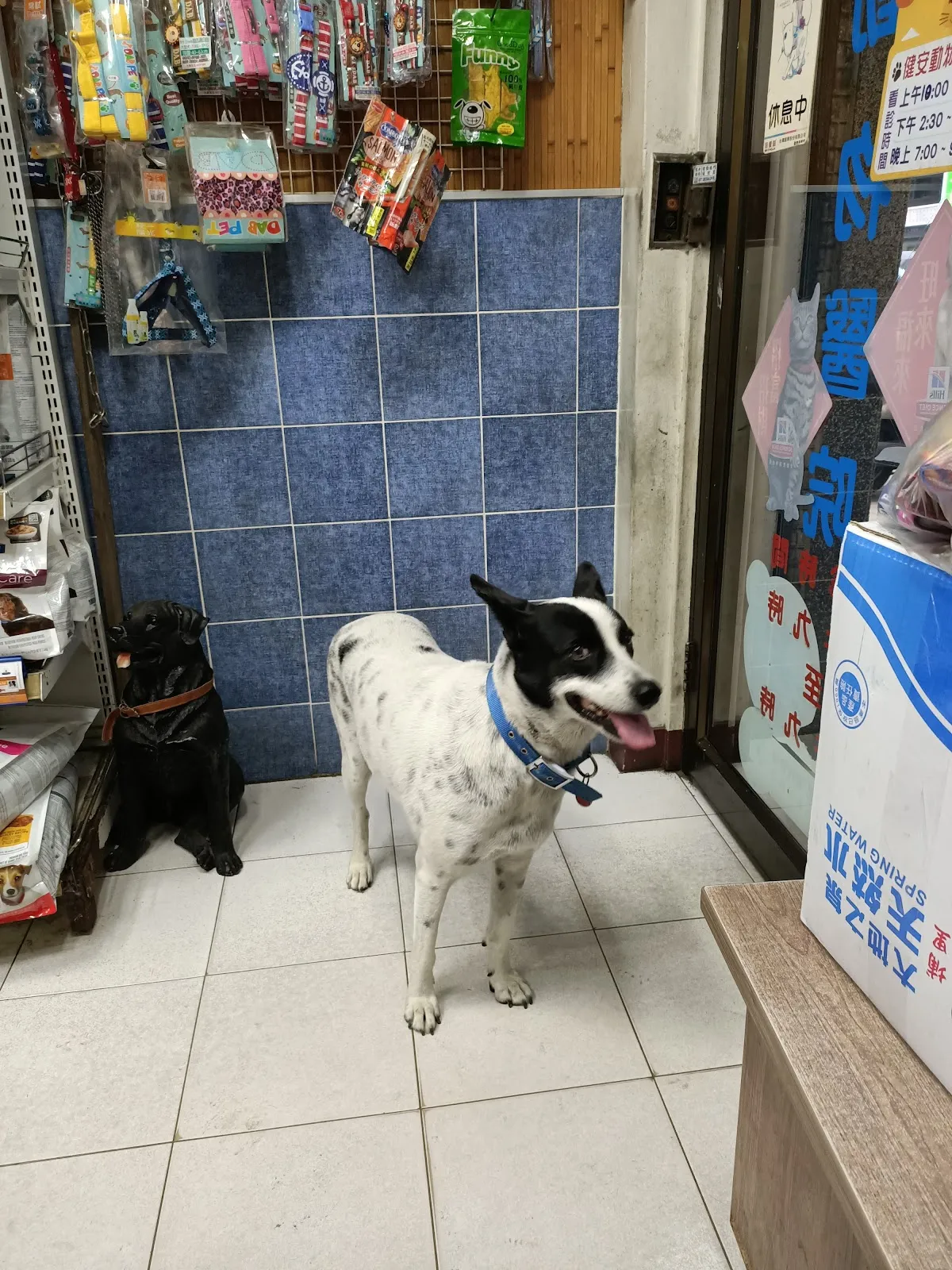 健安動物醫院