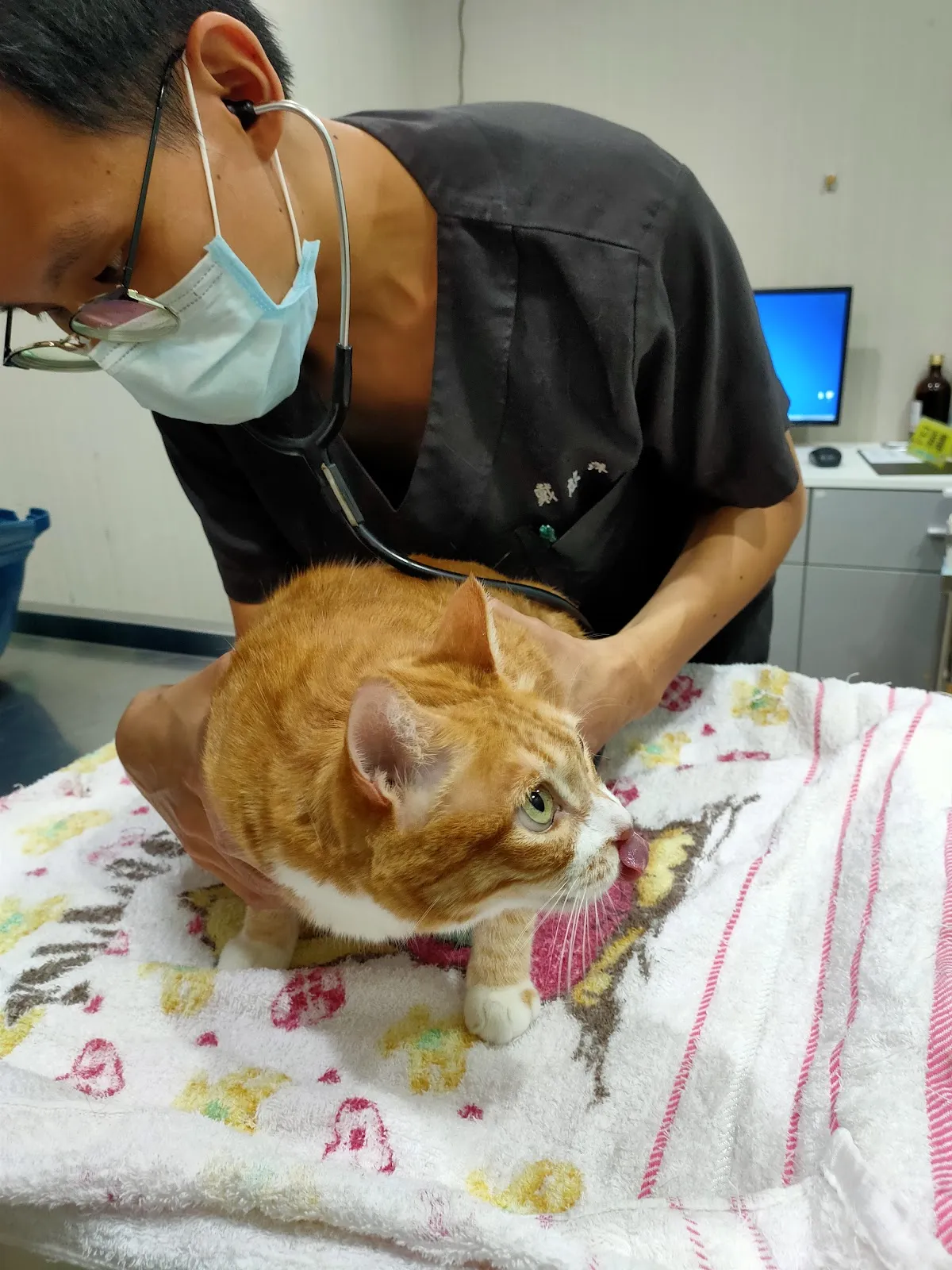 奇奇動物醫院