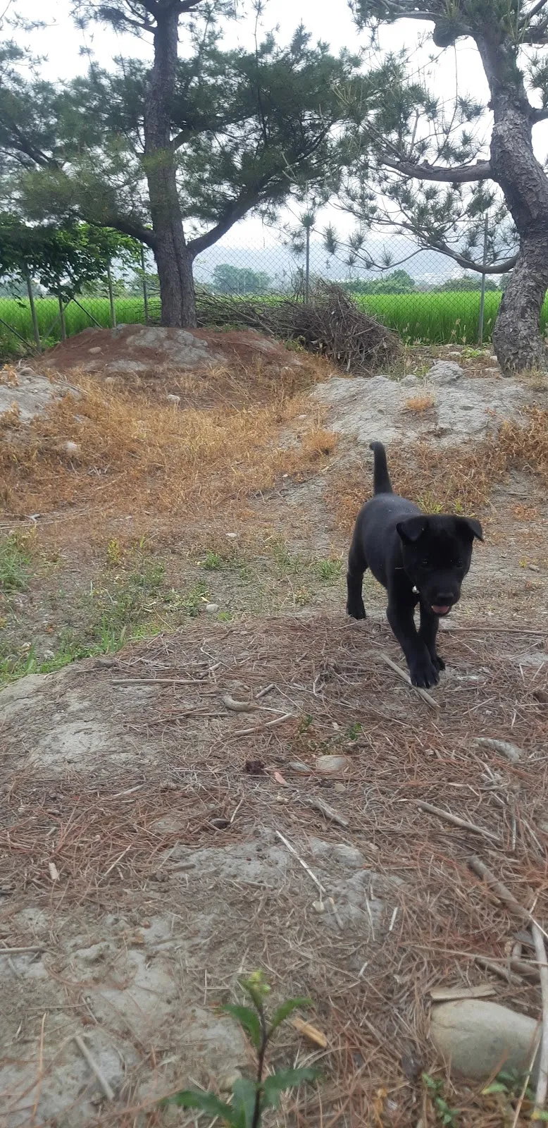 慈濟動物醫院