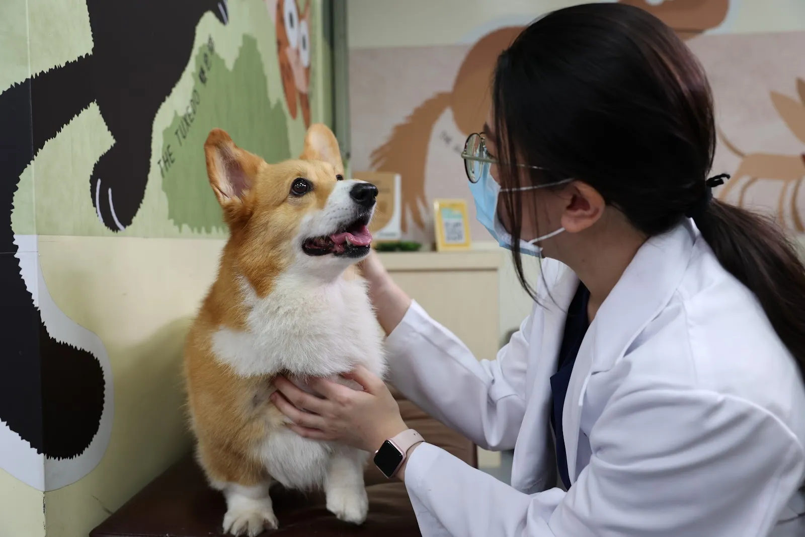聯盟潮州志成動物醫院