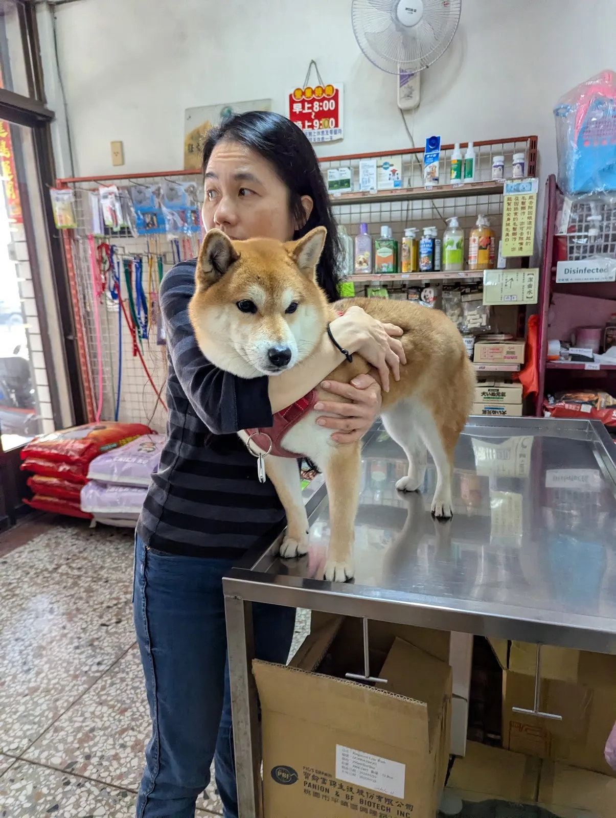 躍犬獸醫院