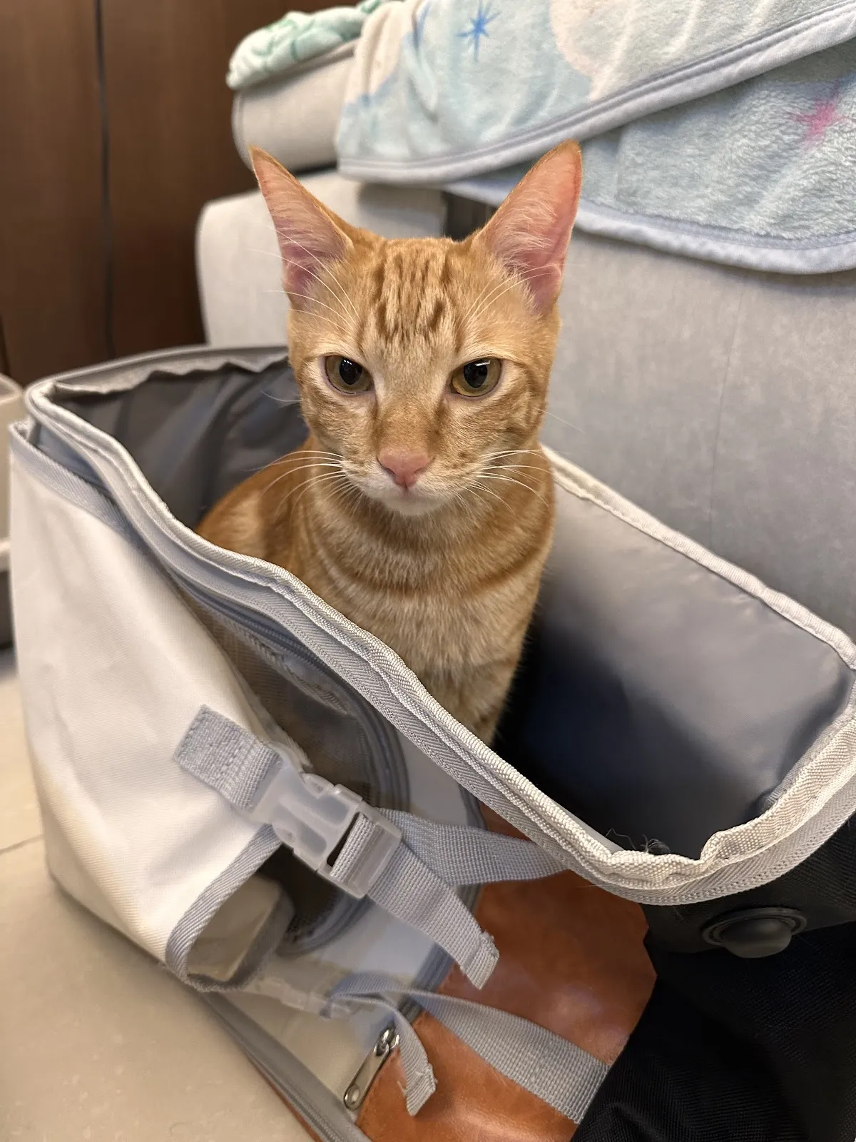 佑仁動物醫院