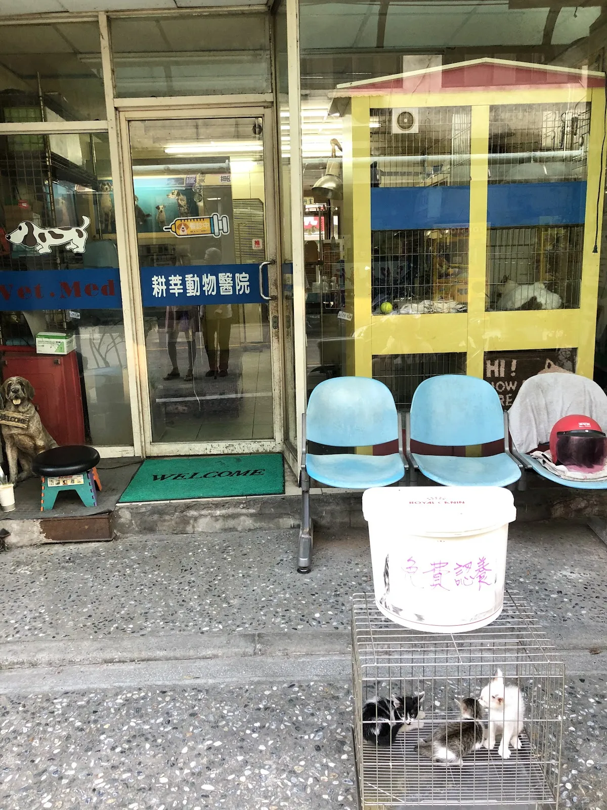 耕莘動物醫院