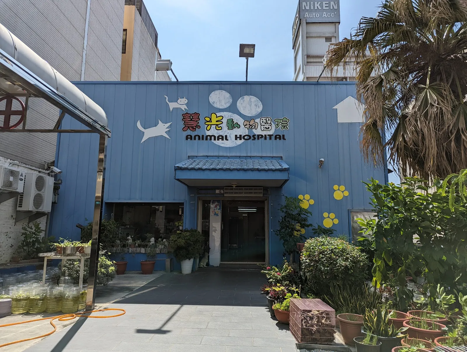 慧光犬貓動物醫院