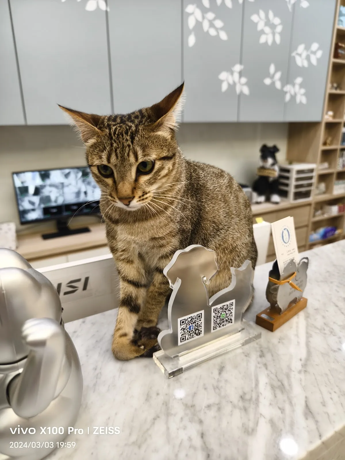 詠昕動物醫院