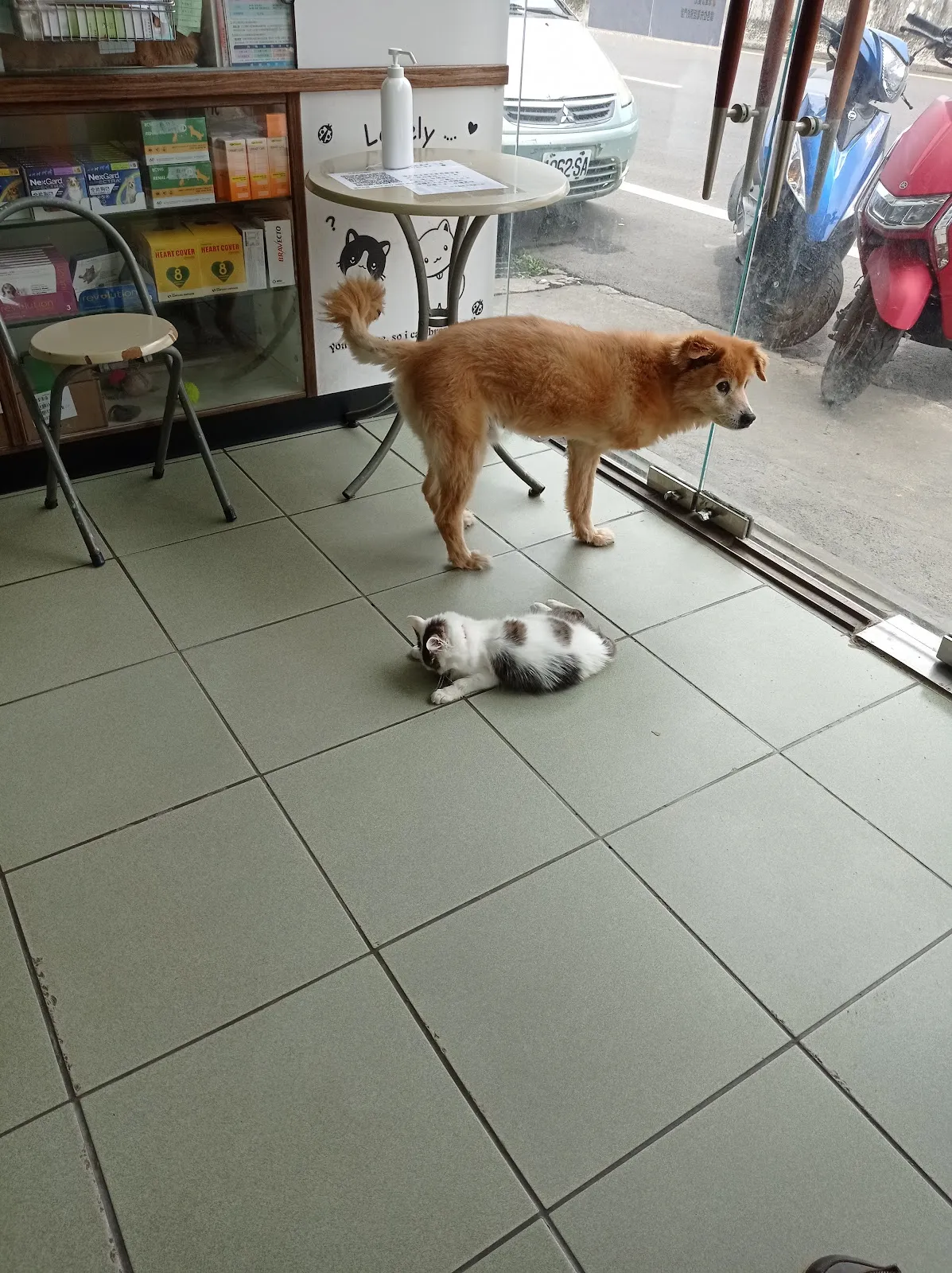 傑昇動物醫院