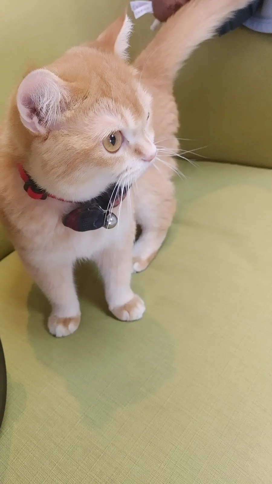 禾米動物醫院