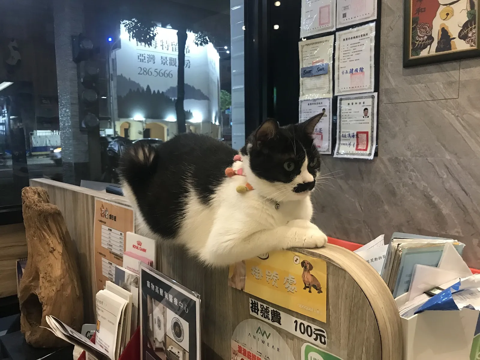 微笑高壓氧動物醫院