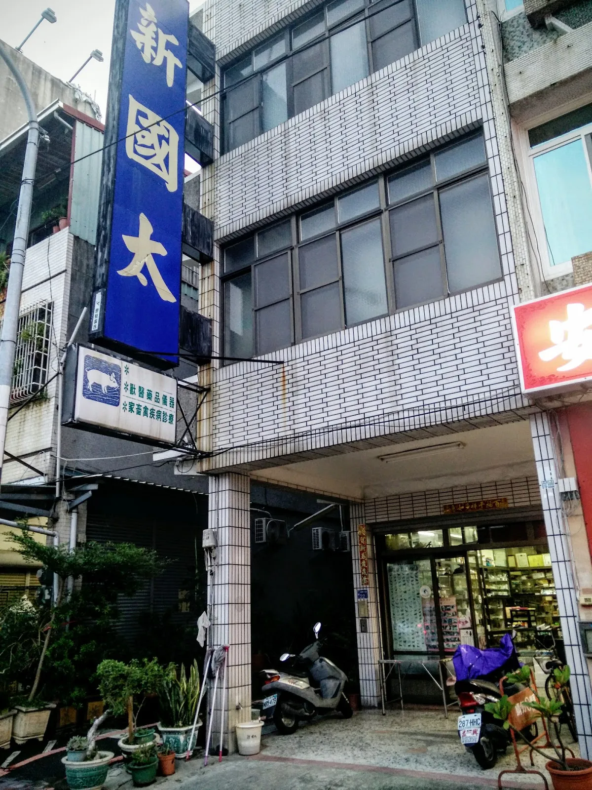 新國太動物診所