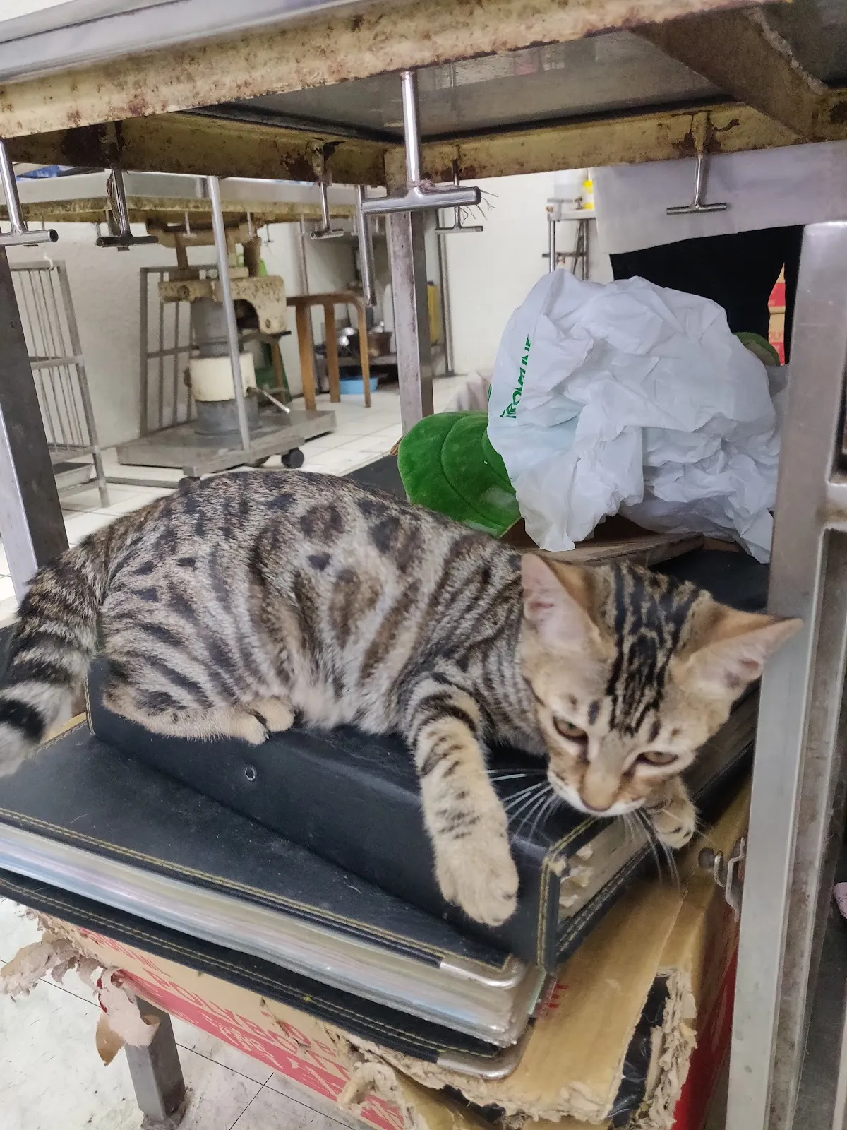 惠明獸醫院
