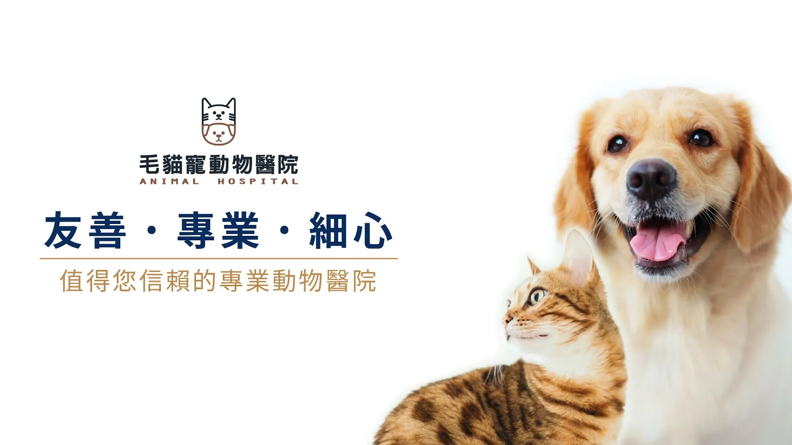 毛貓寵動物醫院