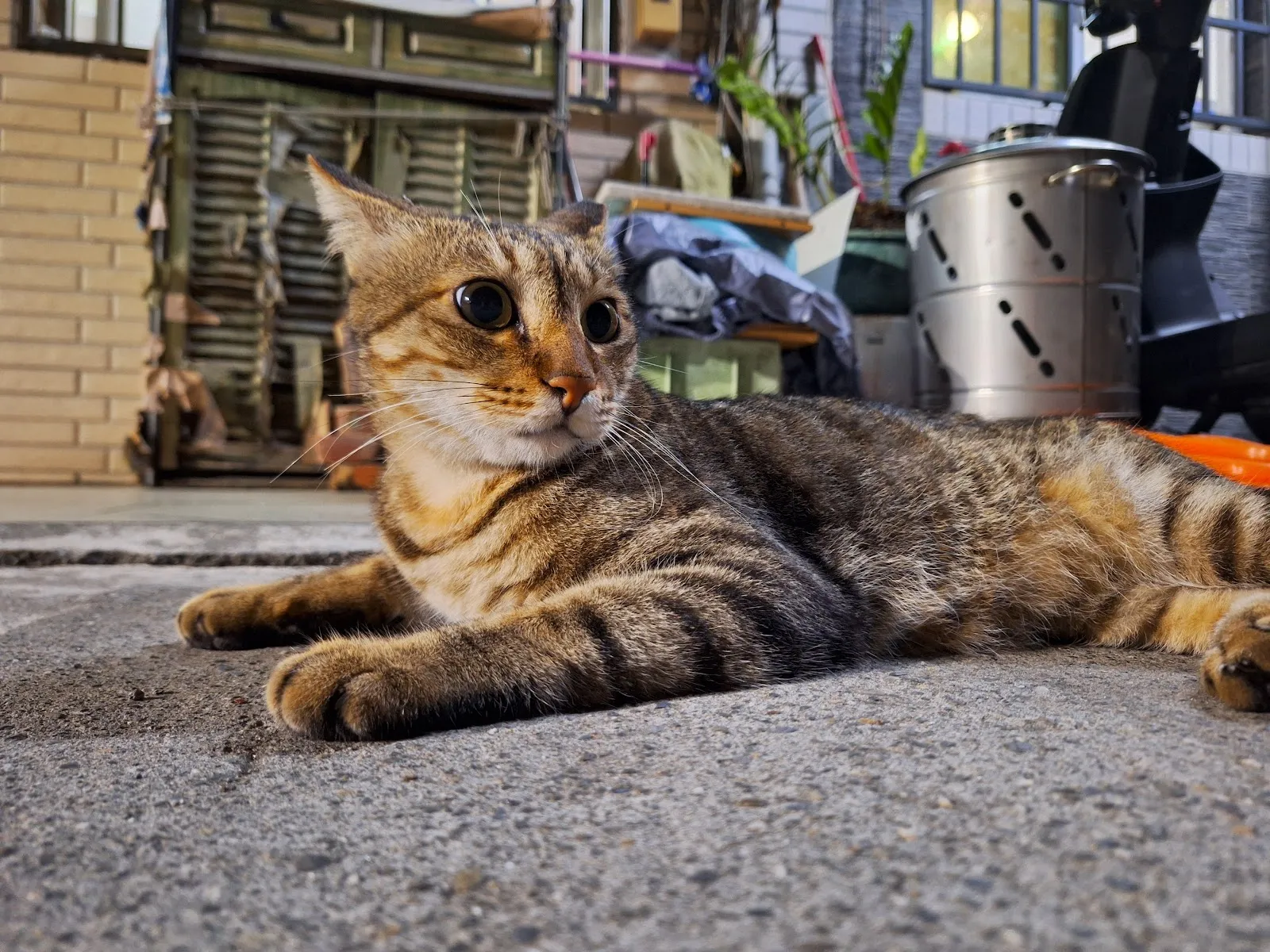 惠康動物醫院