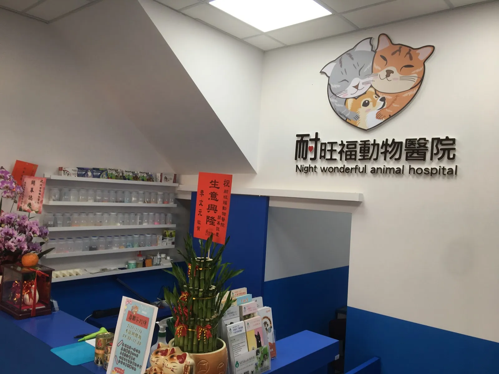 耐旺福動物醫院