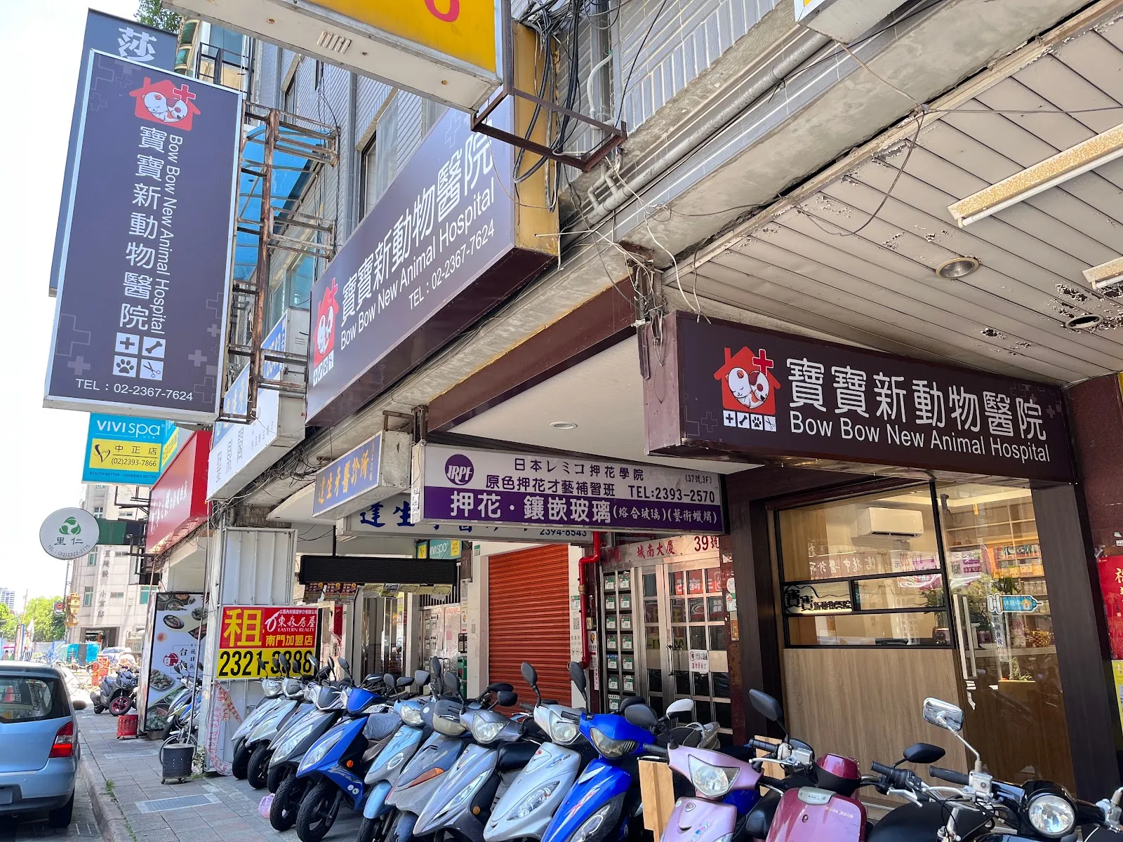 寶寶新動物醫院