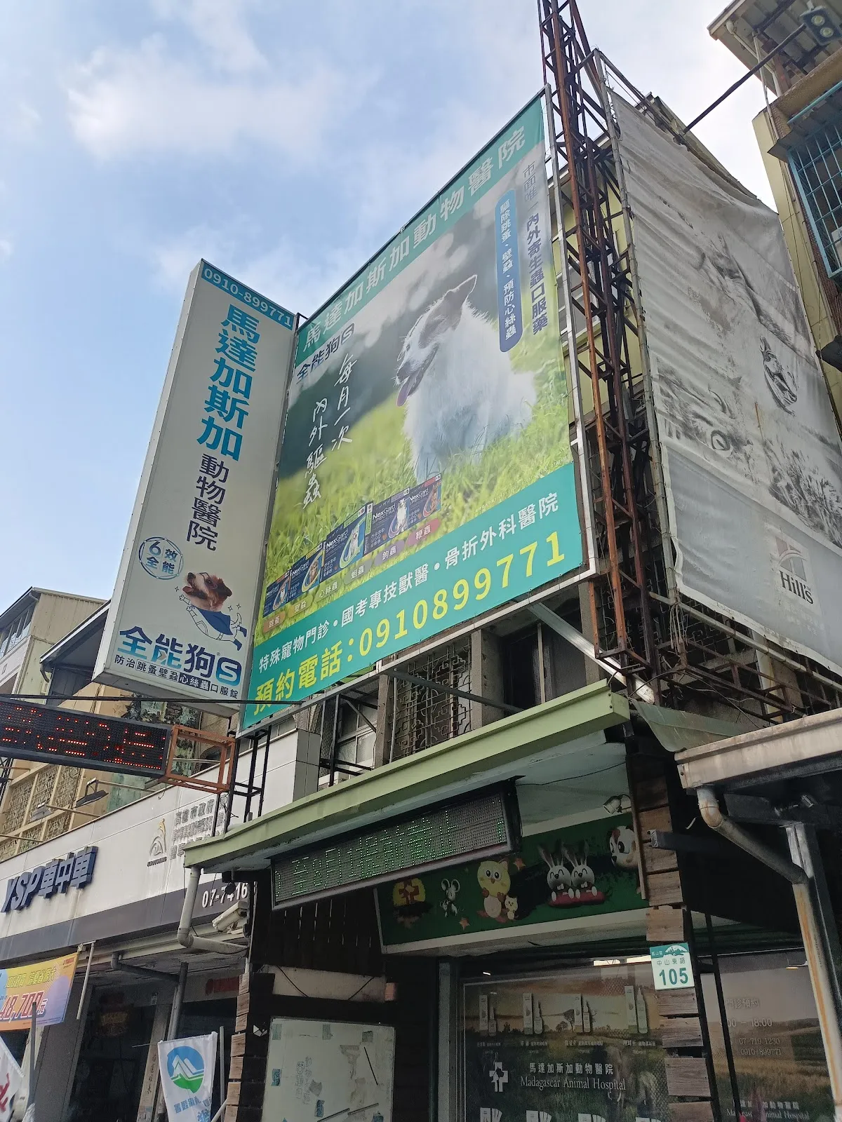 馬達加斯加動物醫院