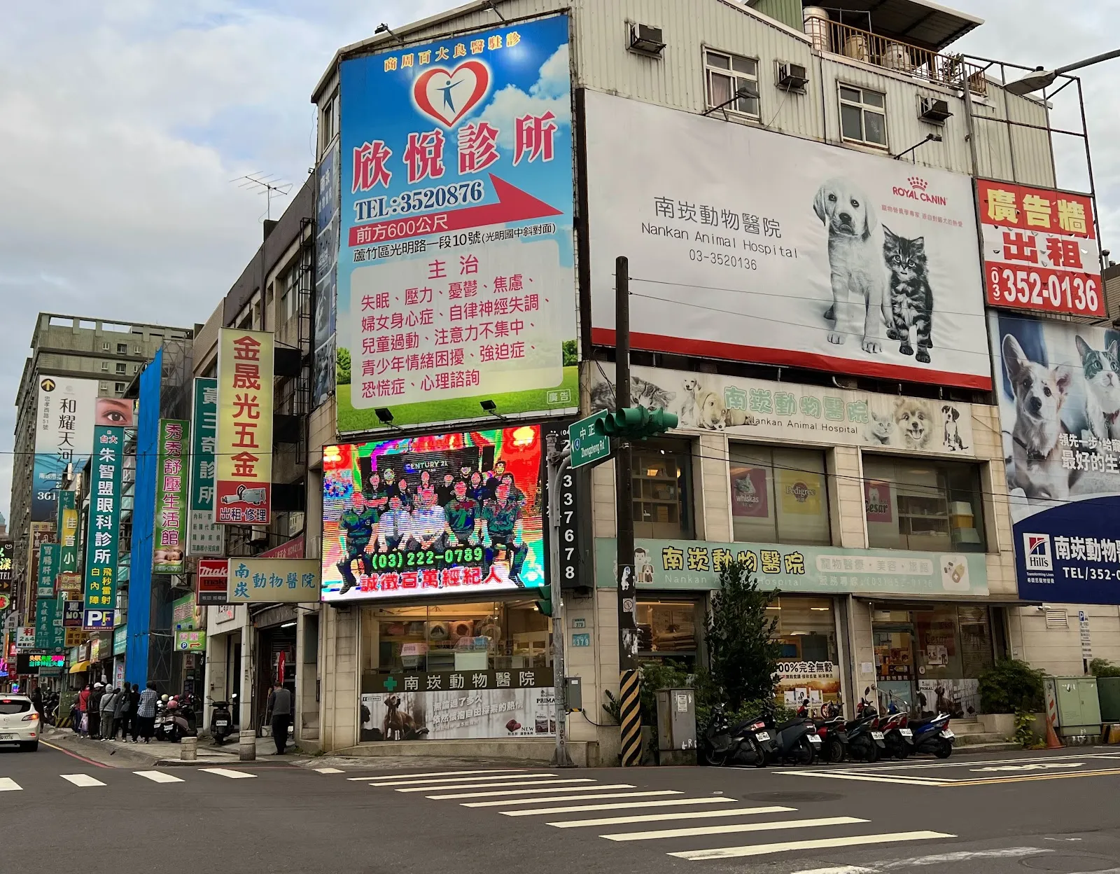 南崁動物醫院