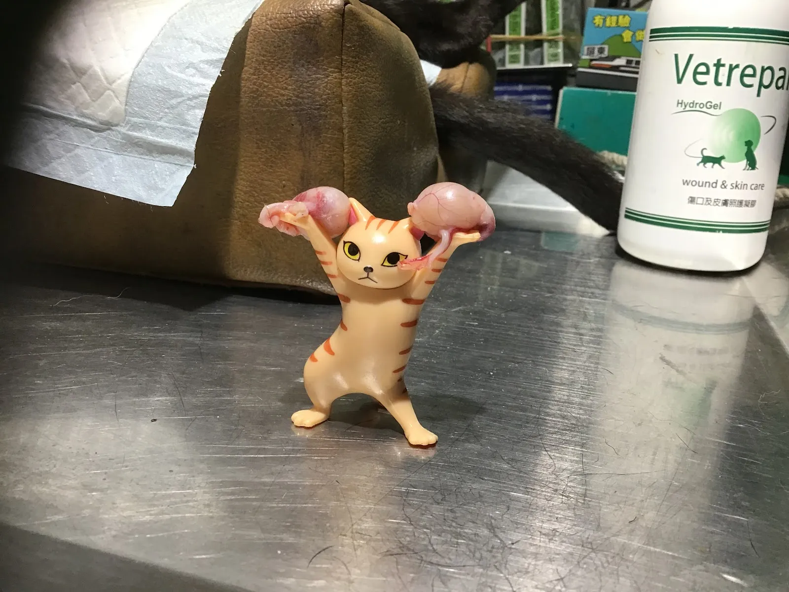 新長庚動物醫院