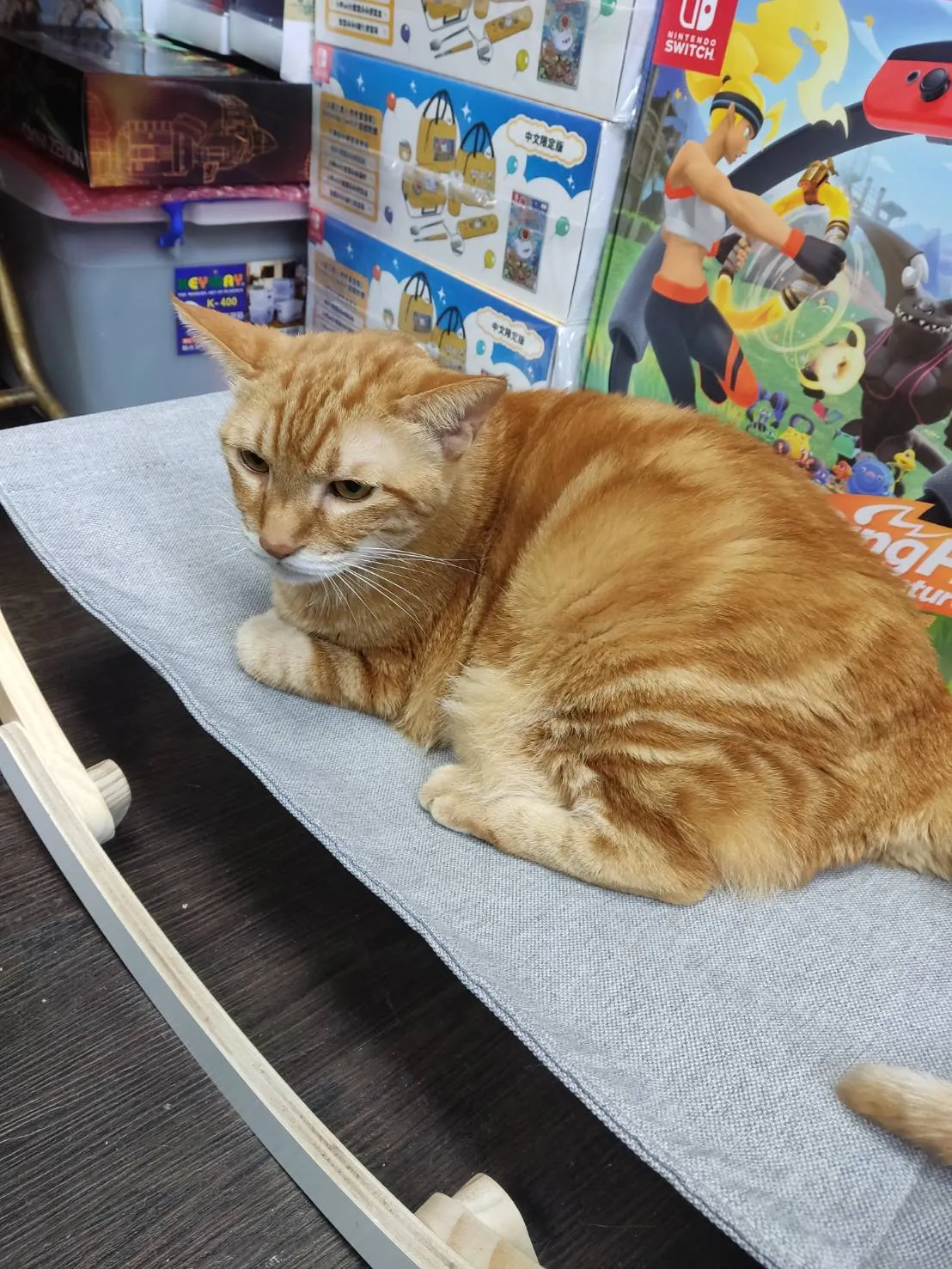 東尚動物醫院