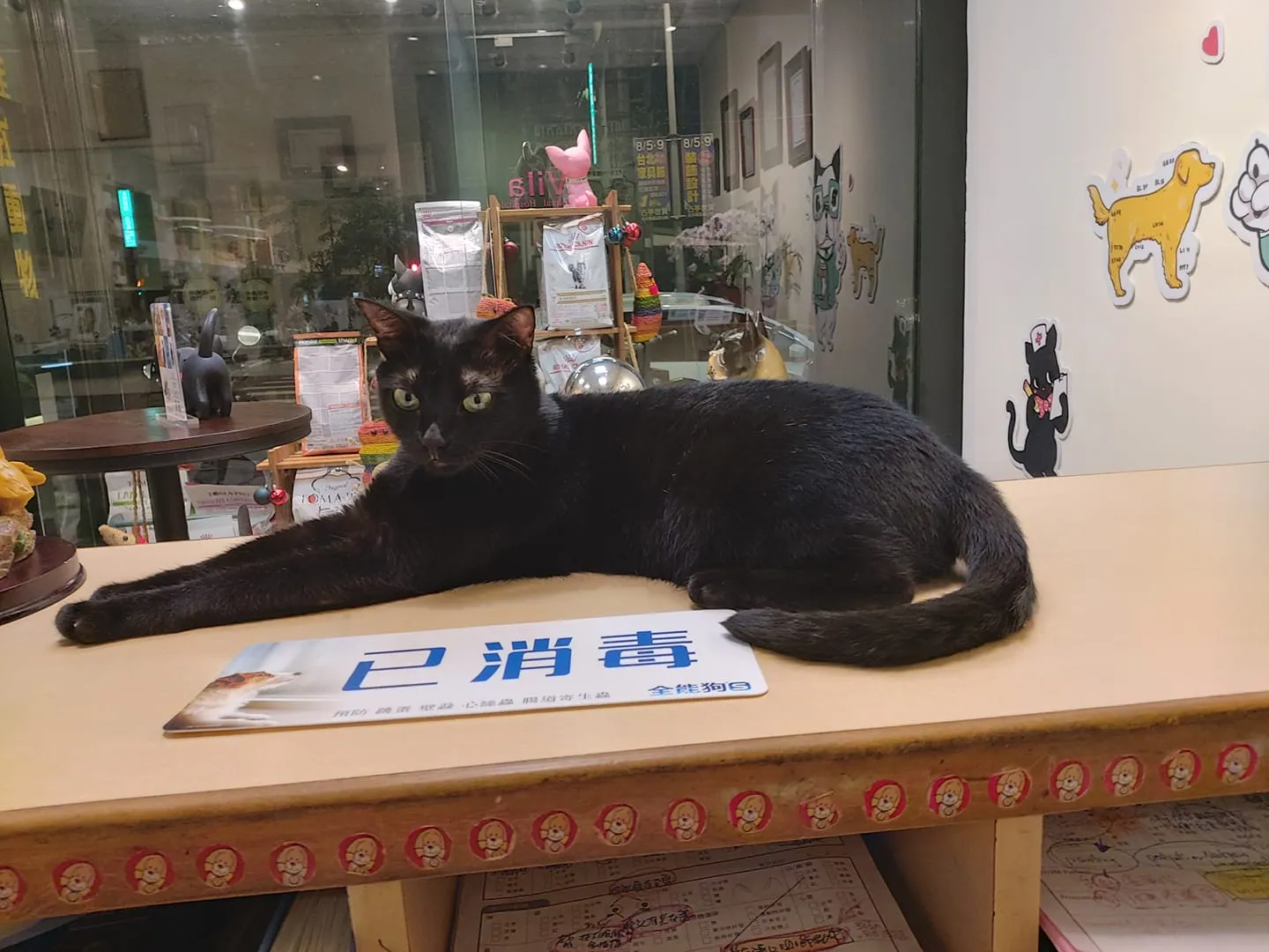 維拉動物醫院