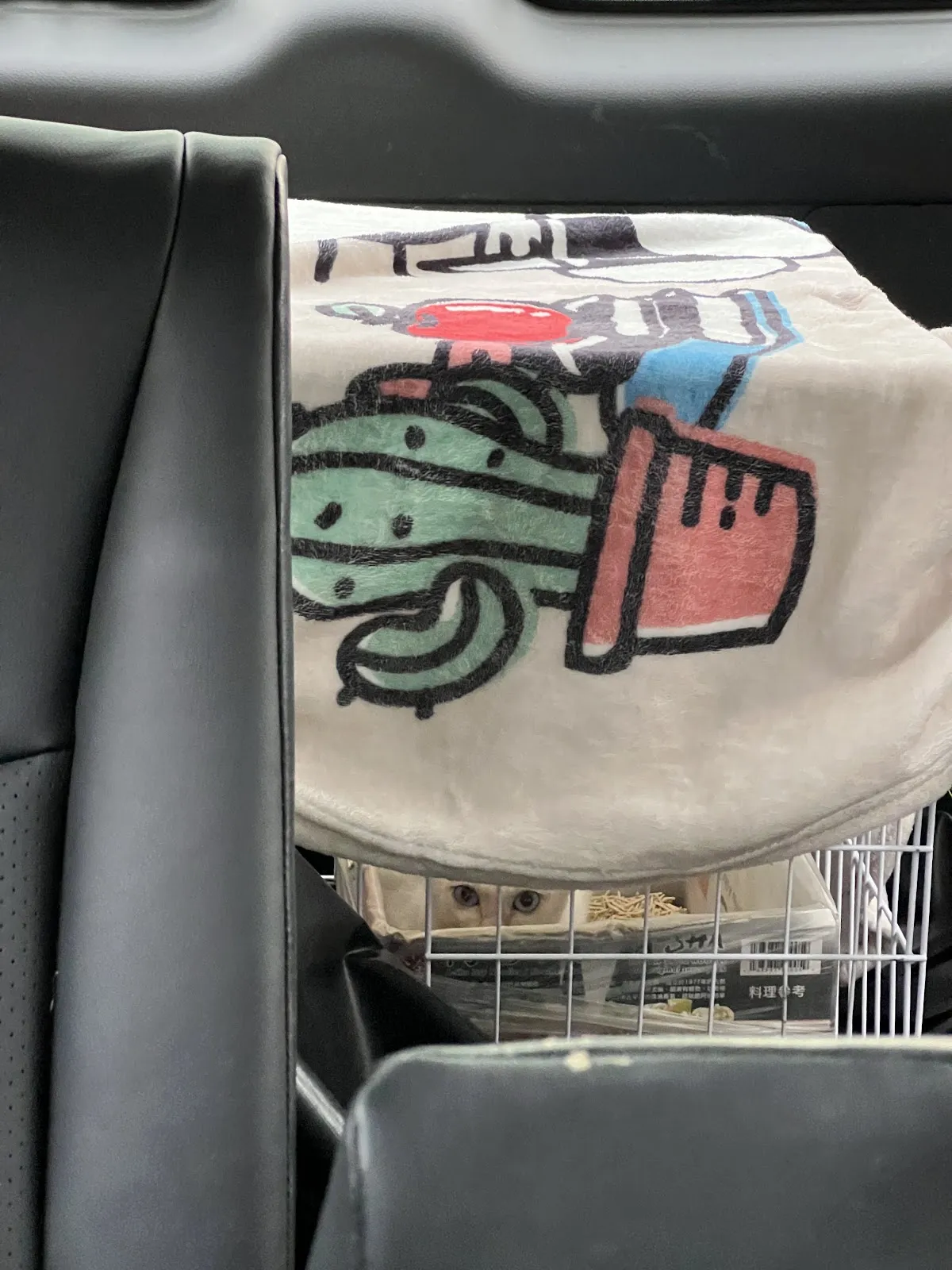 麻豆動物醫院