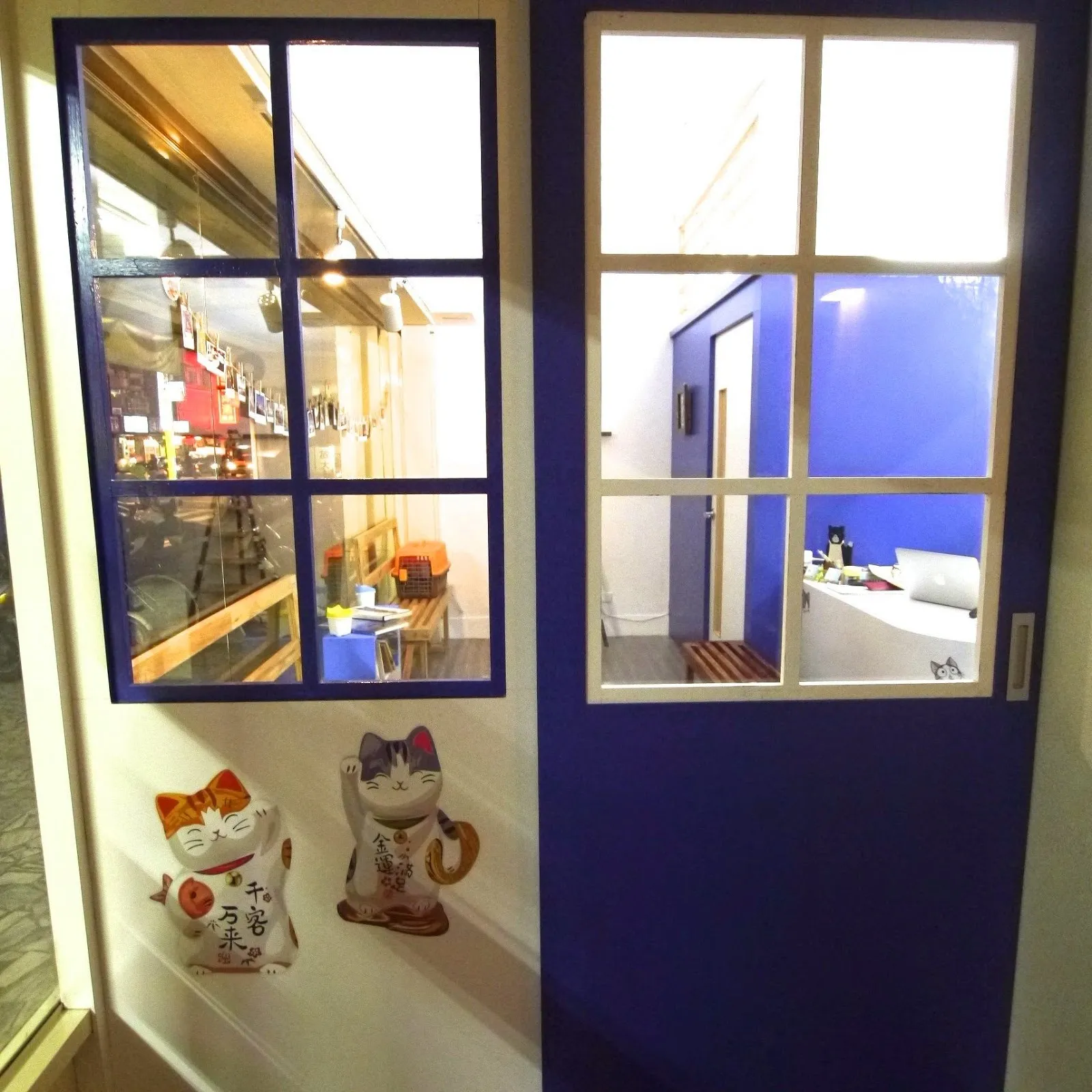 尼昂貓專科醫院