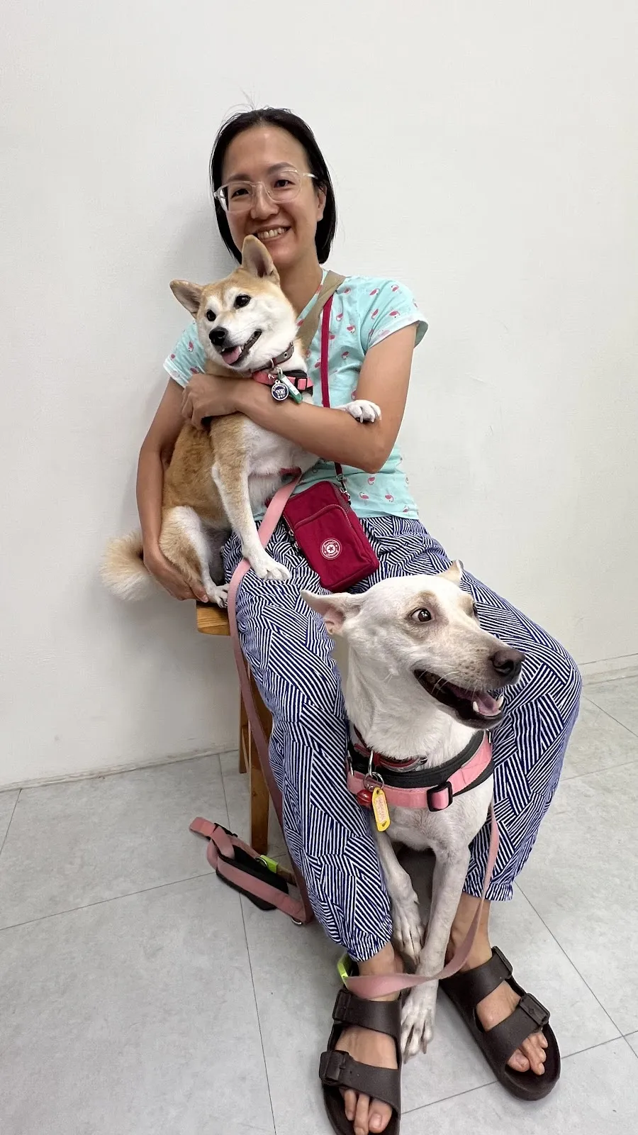 毛孩子動物醫院