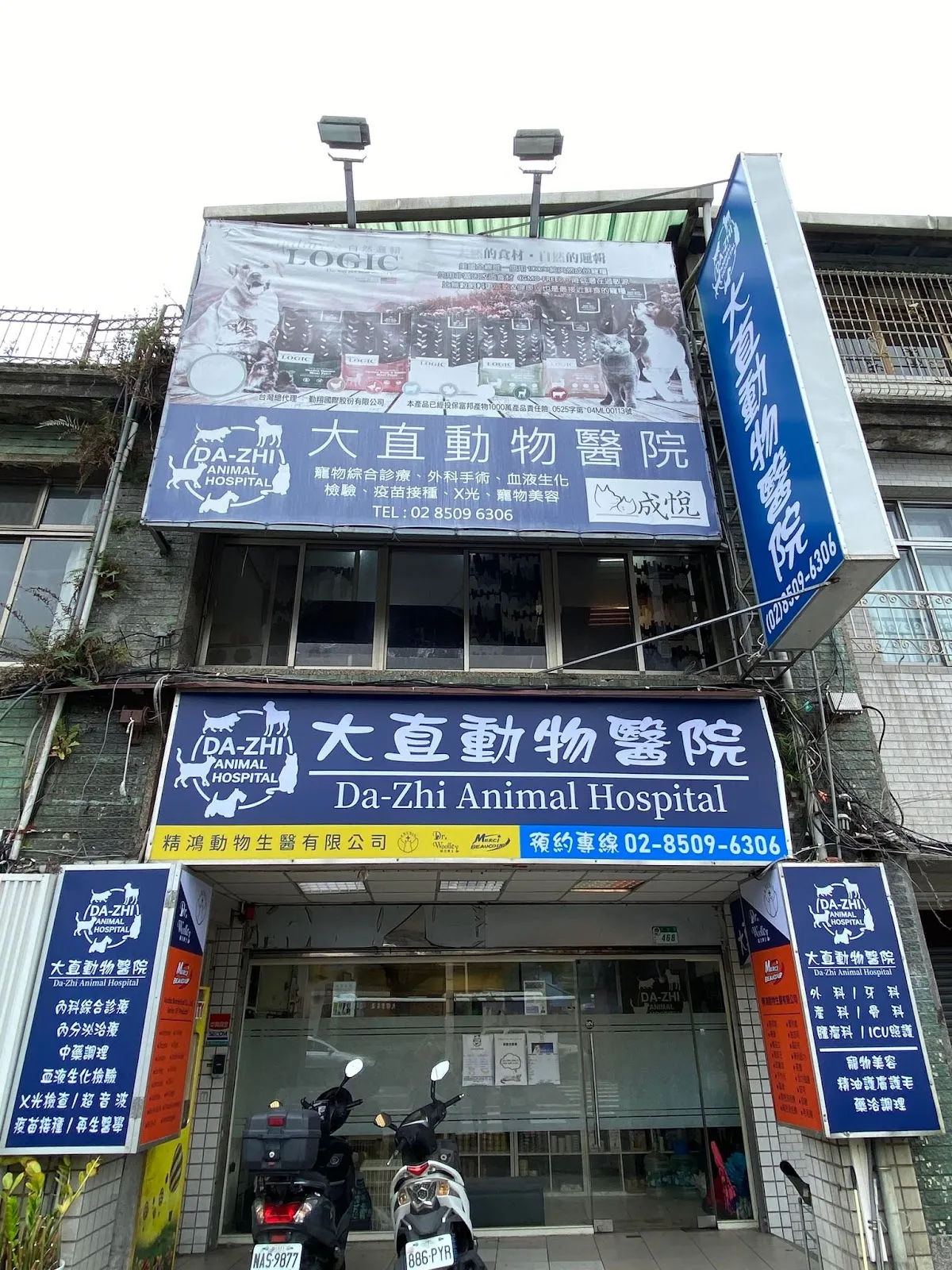 大直動物醫院