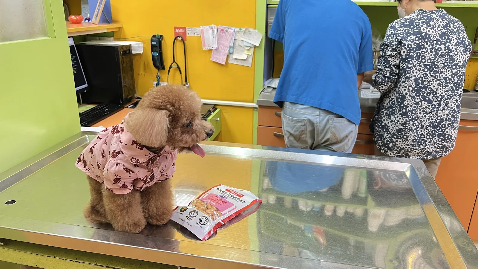 犬揚動物醫院