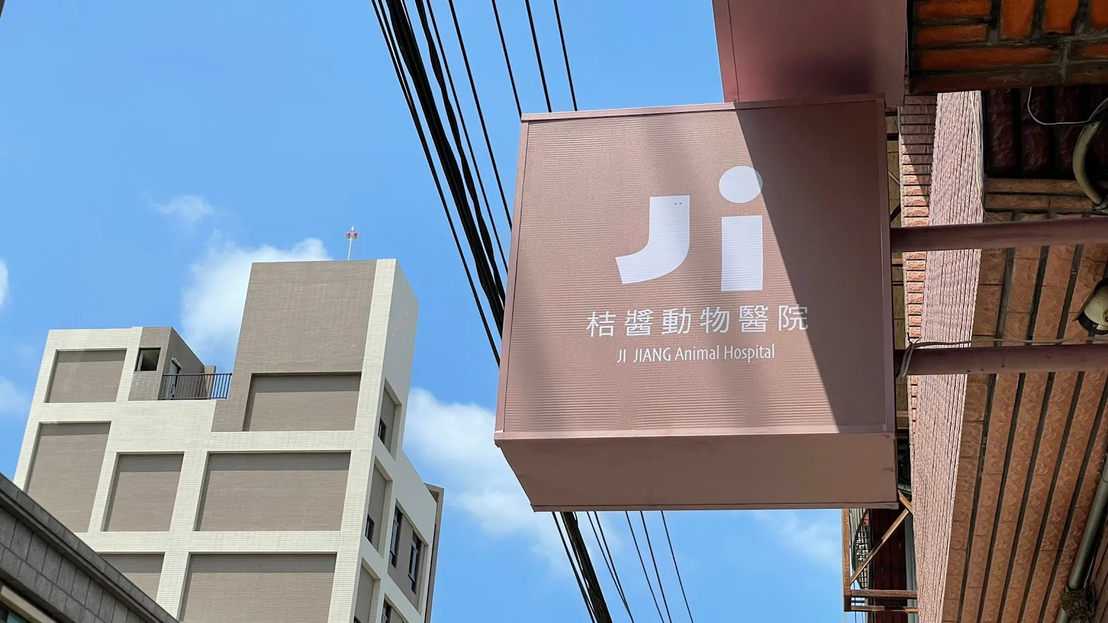 桔醬動物醫院