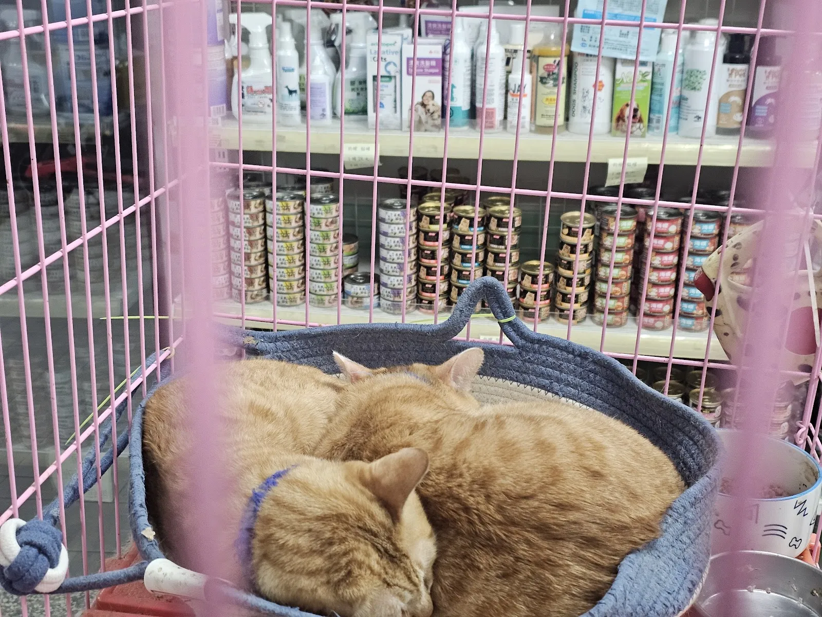 全民動物醫院北投分院