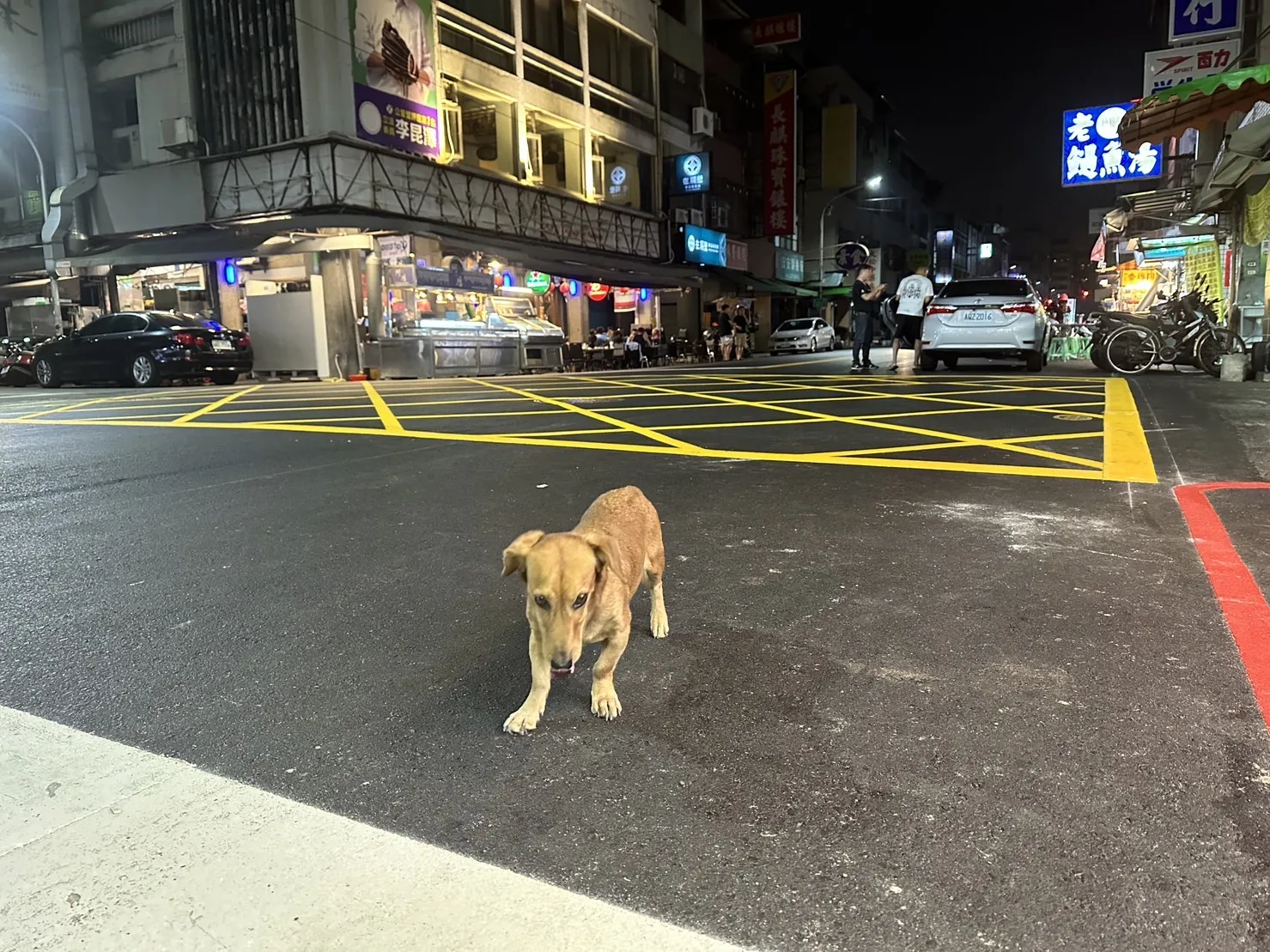 惠明動物醫院