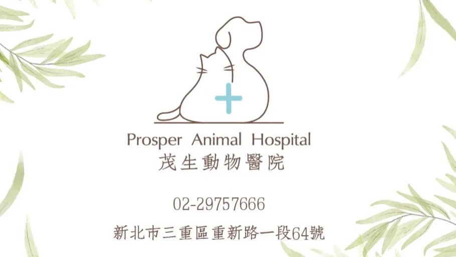 茂生動物醫院