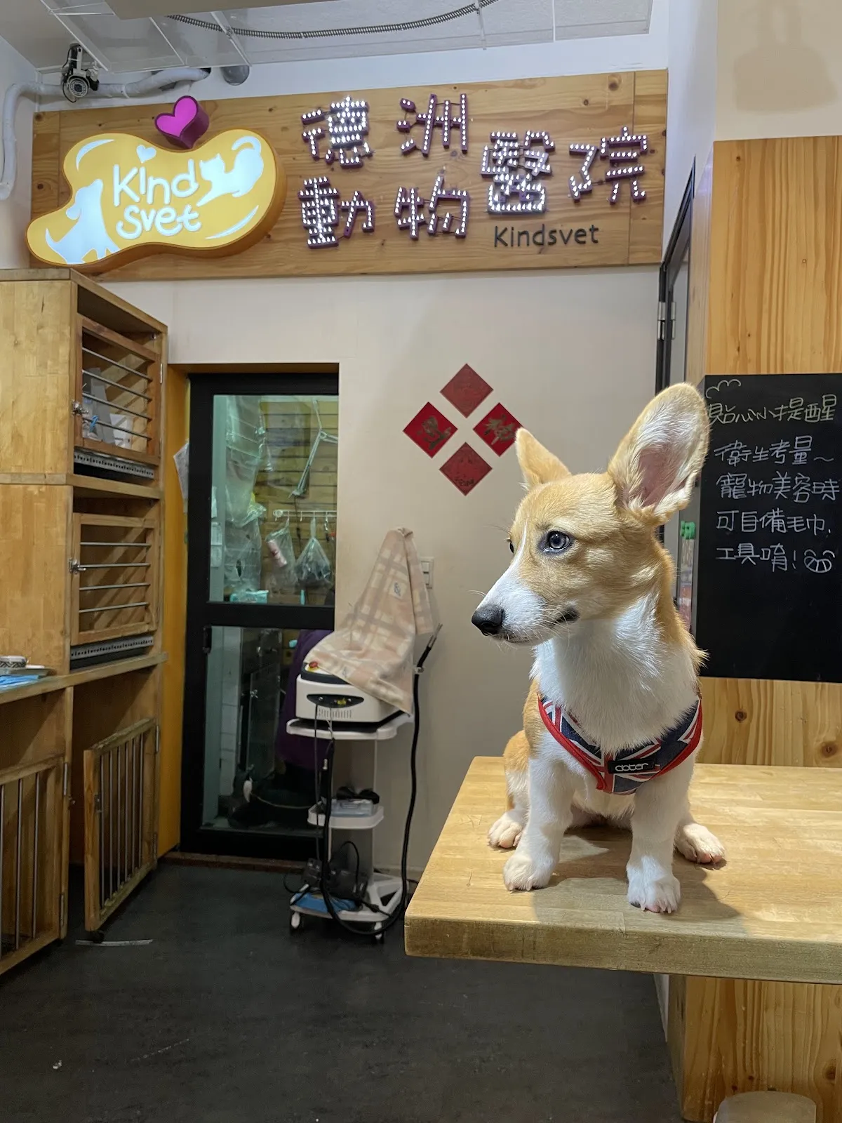 德洲喵樂動物醫院