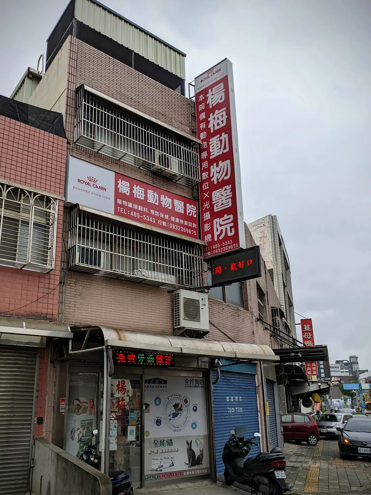 楊梅動物醫院