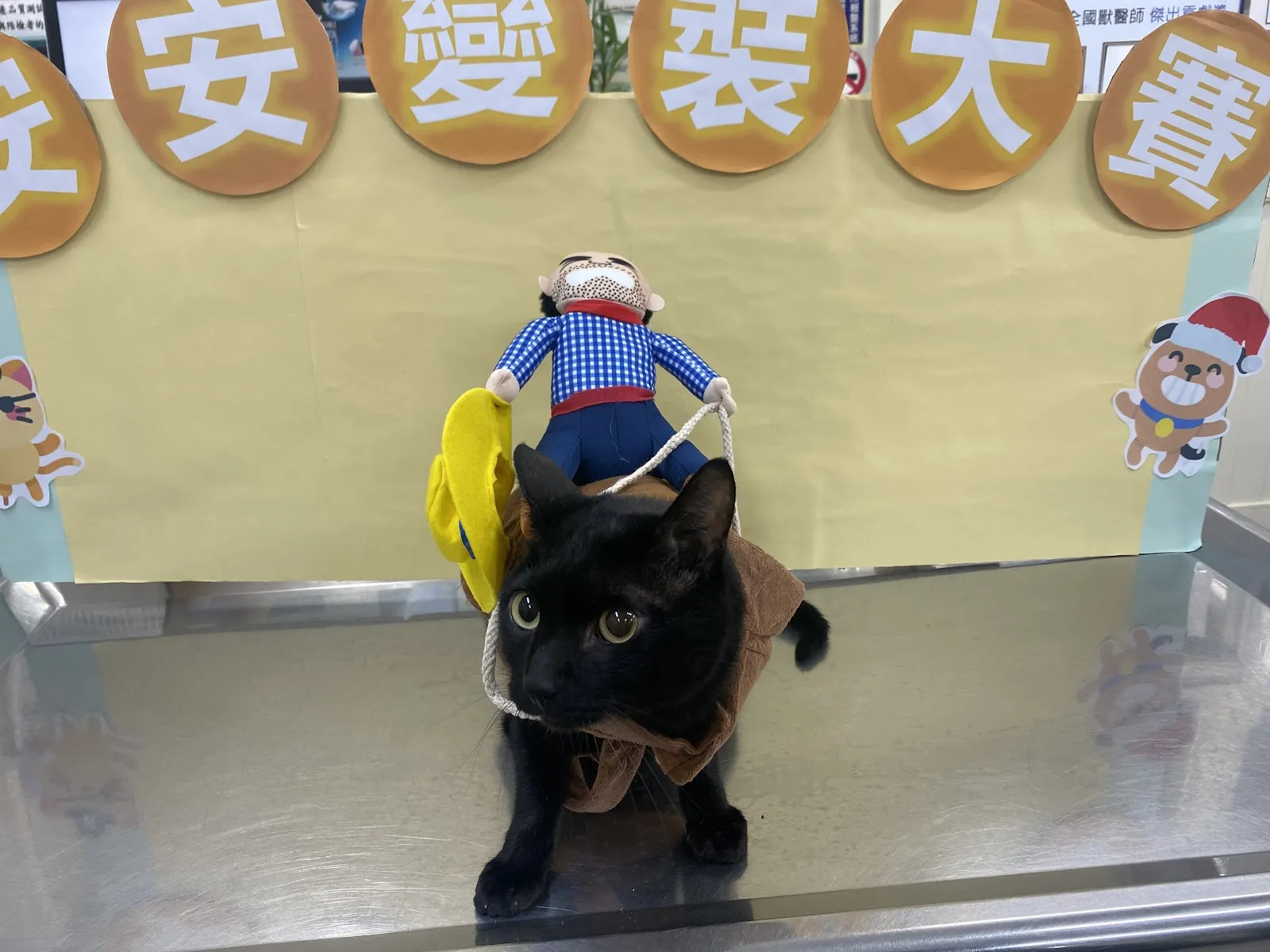 安安動物醫院