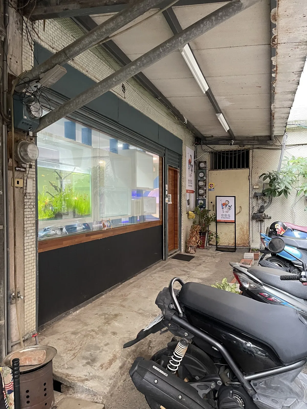 度度鳥特殊寵物專科醫院