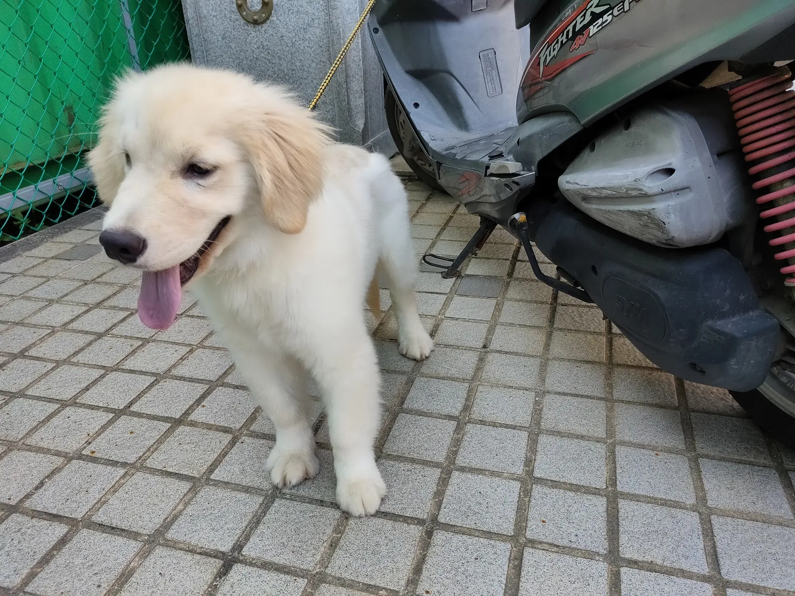 仁喆動物醫院