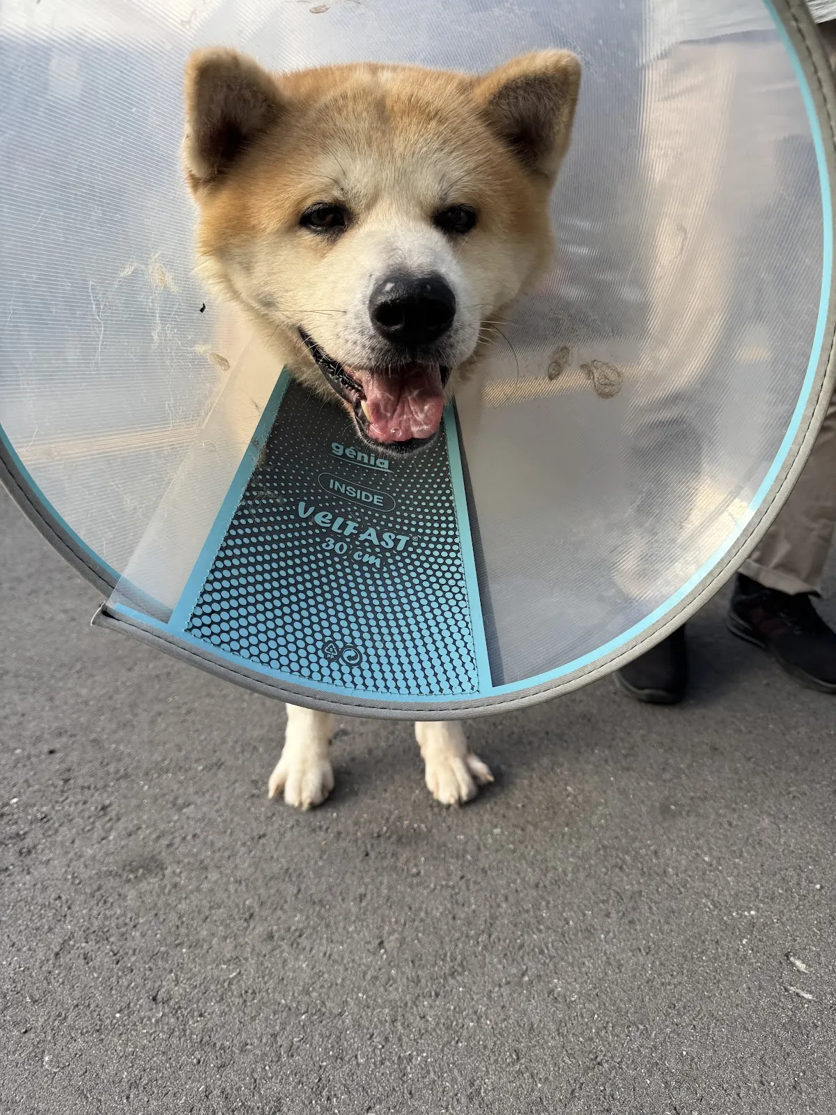 太原動物醫院